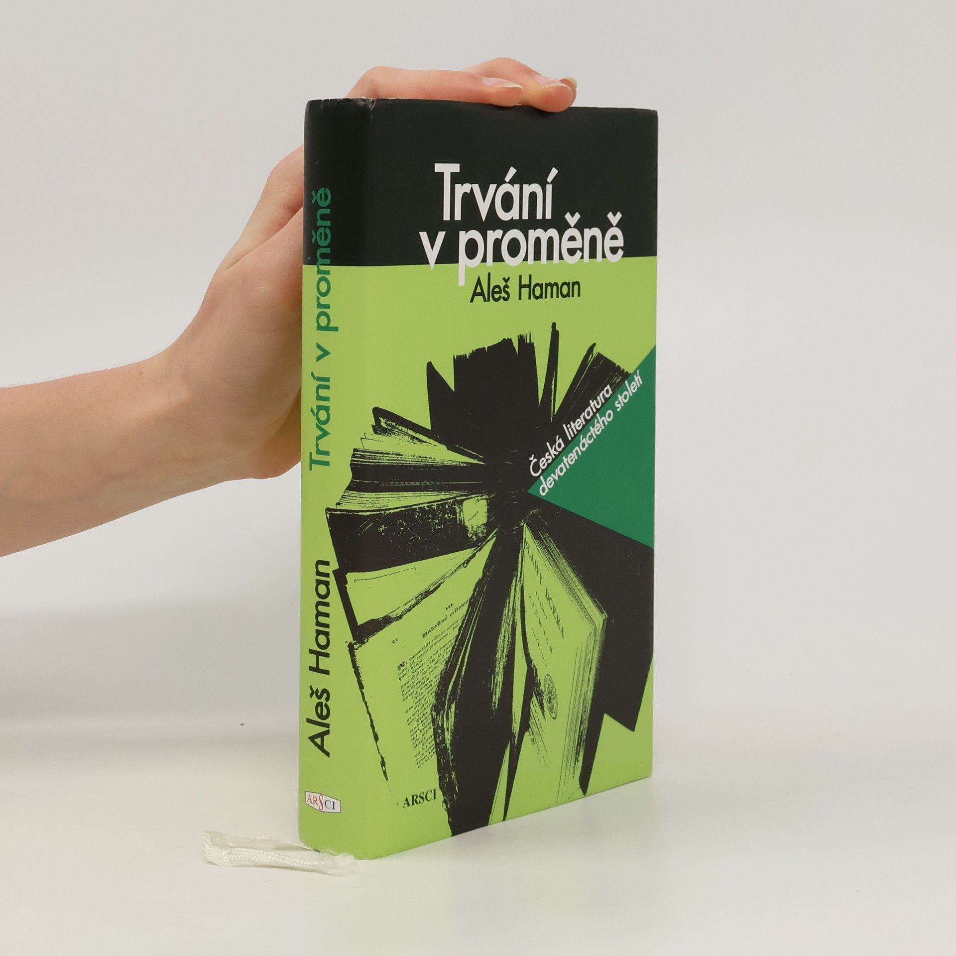 Aleš Haman Trvání v proměně : česká literatura devatenáctého století
