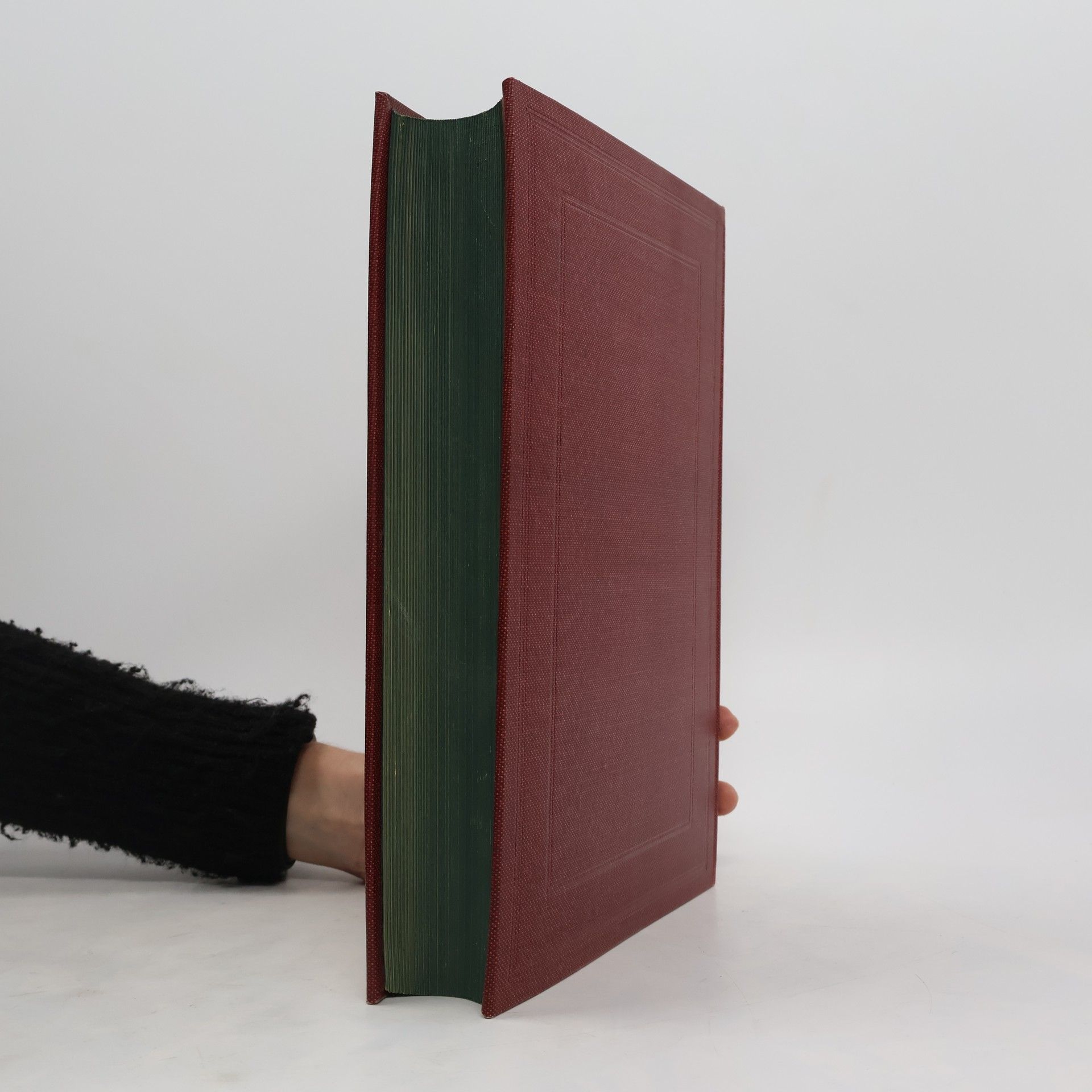 AA.VV. Österreichische Bürgerkunde : Handbuch der Staats- und Rechtstunde in ihren Beziehungen zum öffentlichen Leben 2