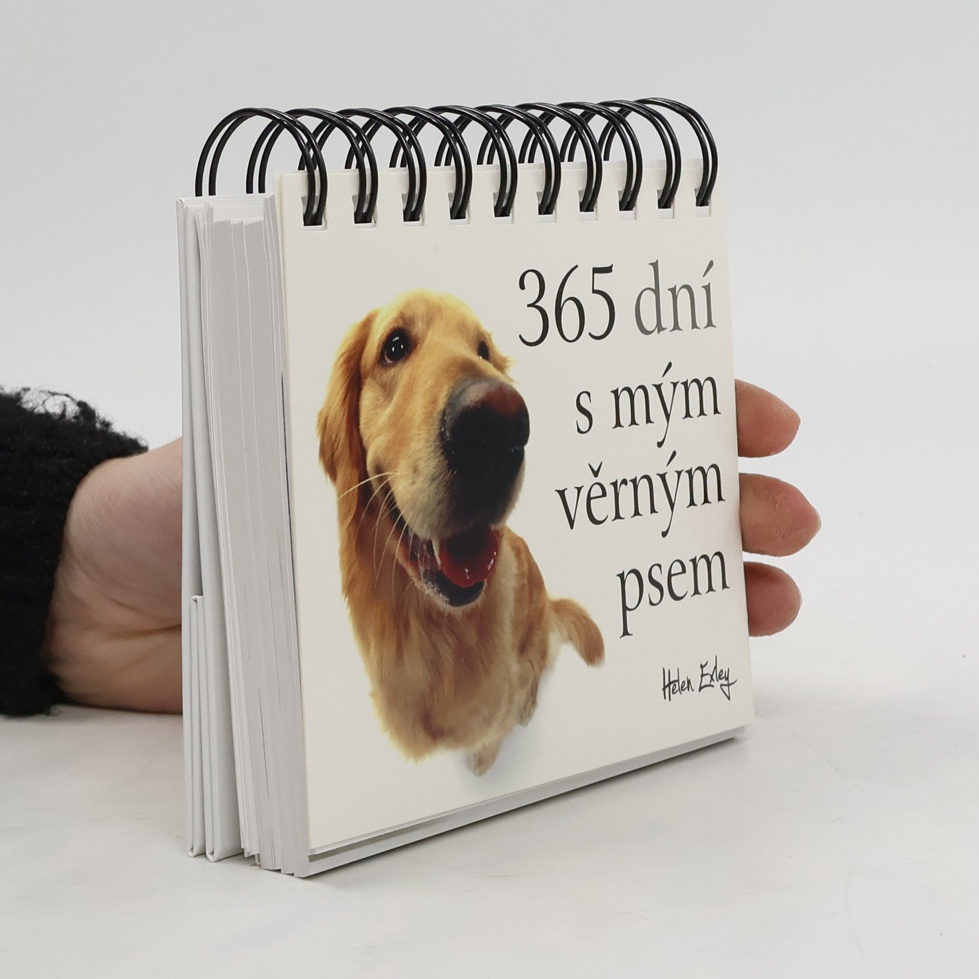 Runka Žaludová 365 dní s mým věrným psem