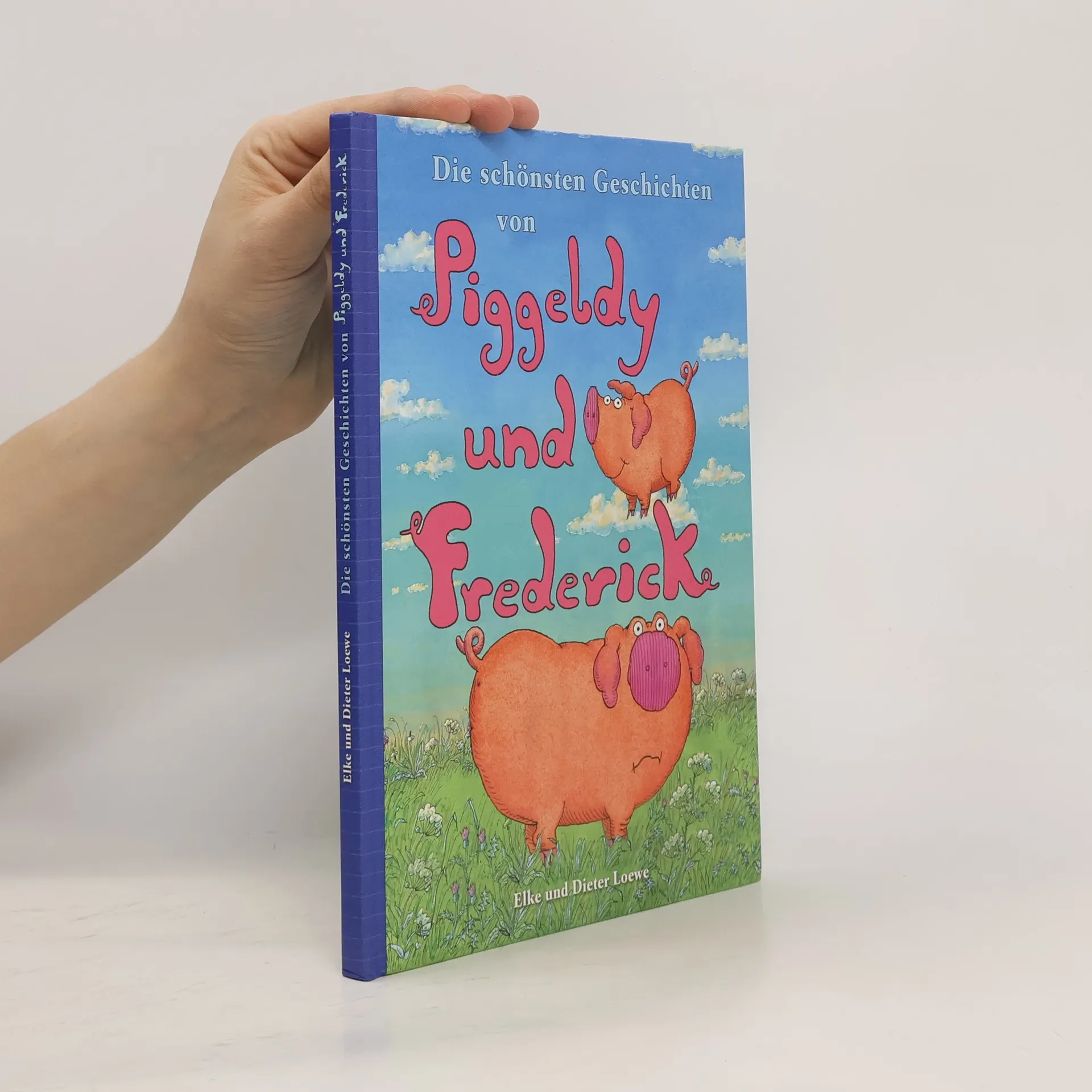 Die schönsten Geschichten von Piggldy und Frederick | Kniha | Elke Loewe | DE
