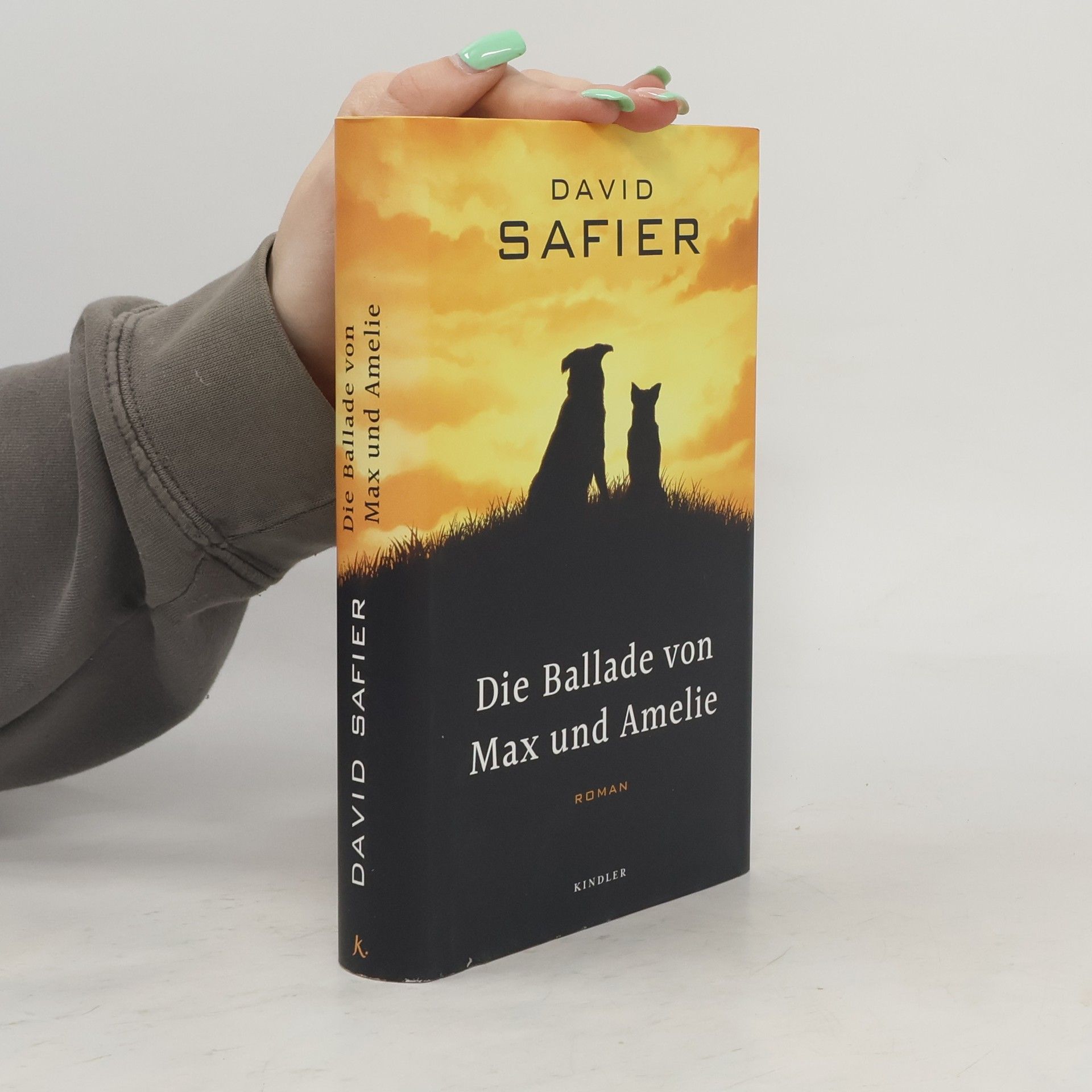 David Safier Die Ballade von Max und Amelie
