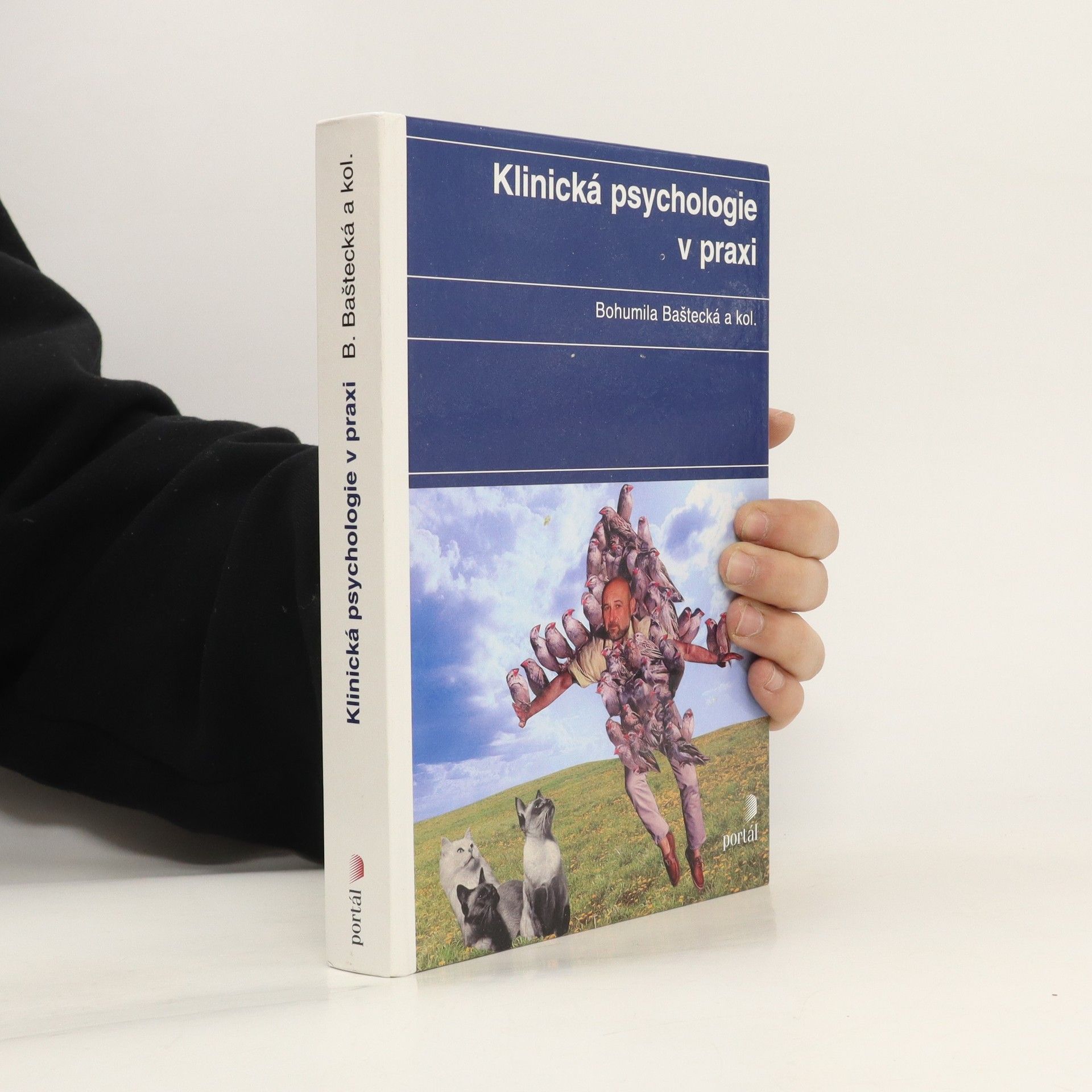 Bohumila Baštecká Klinická psychologie v praxi