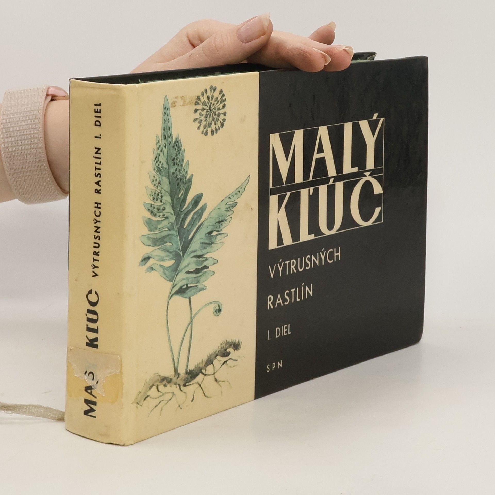 Collectif d'auteurs Malý kľúč výtrusných rastlín I.