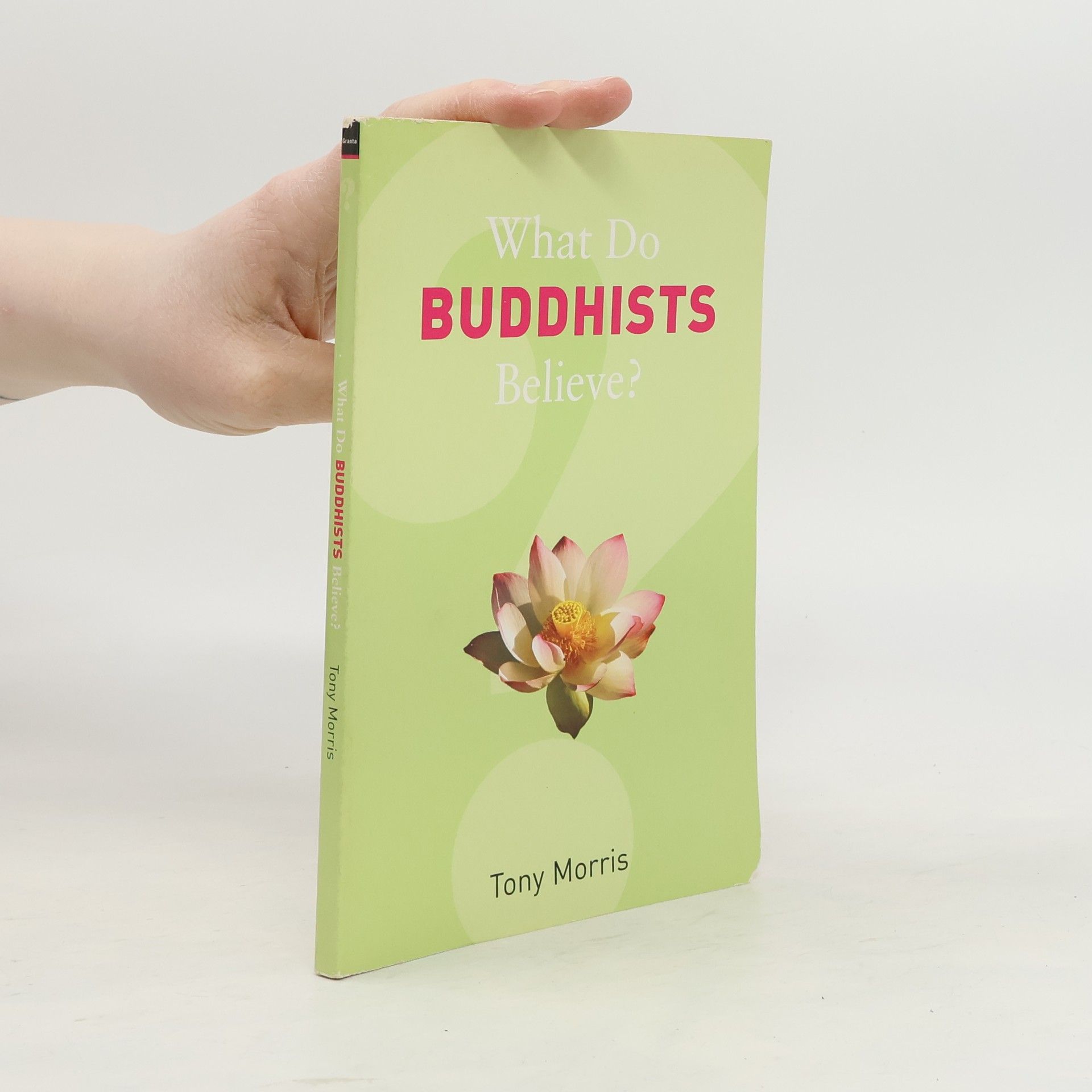 Tony Morrison What Do Buddhists Believe?