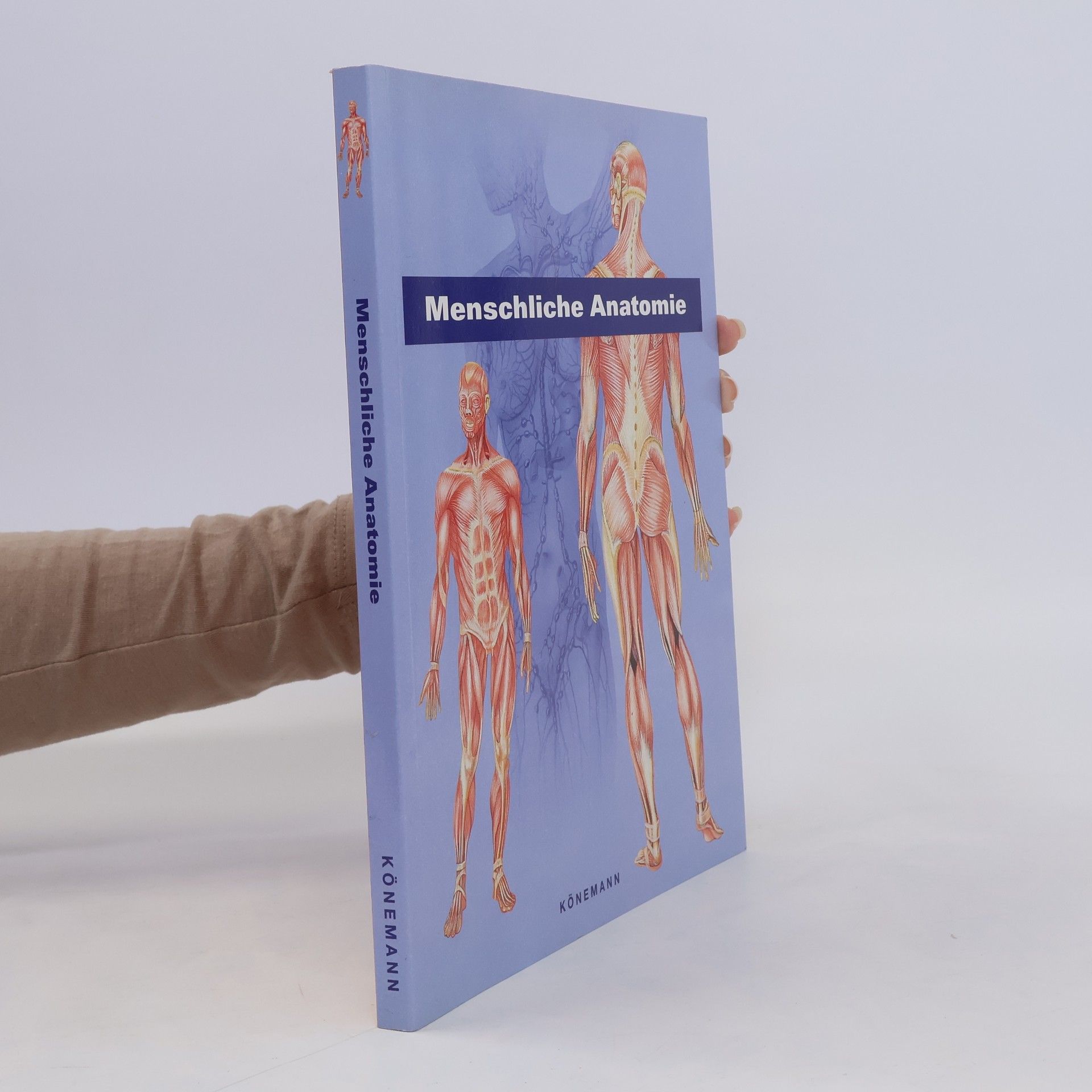 Francisco Asensio Cerver Menschliche Anatomie