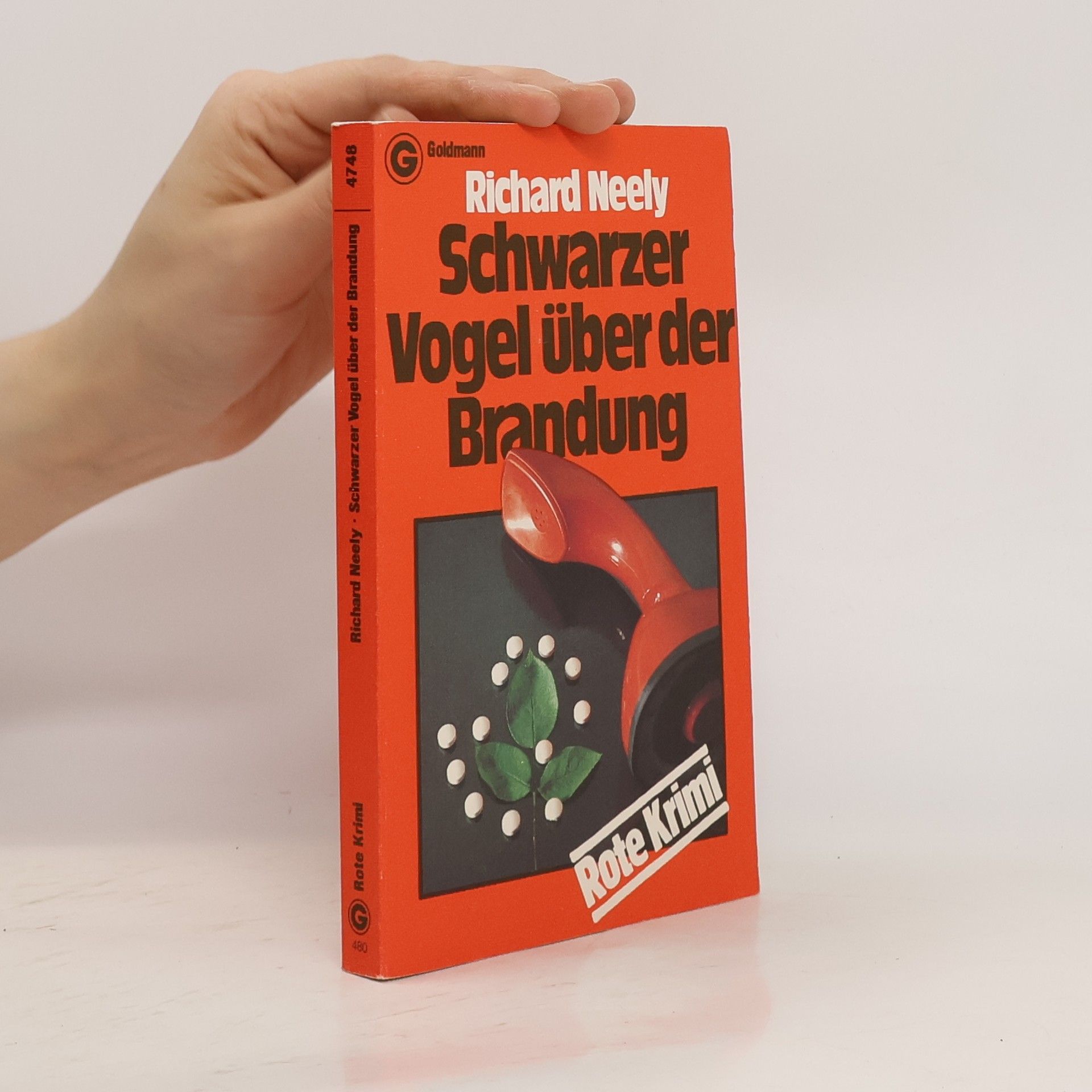 Richard Neely Schwarzer Vogel über der Brandung