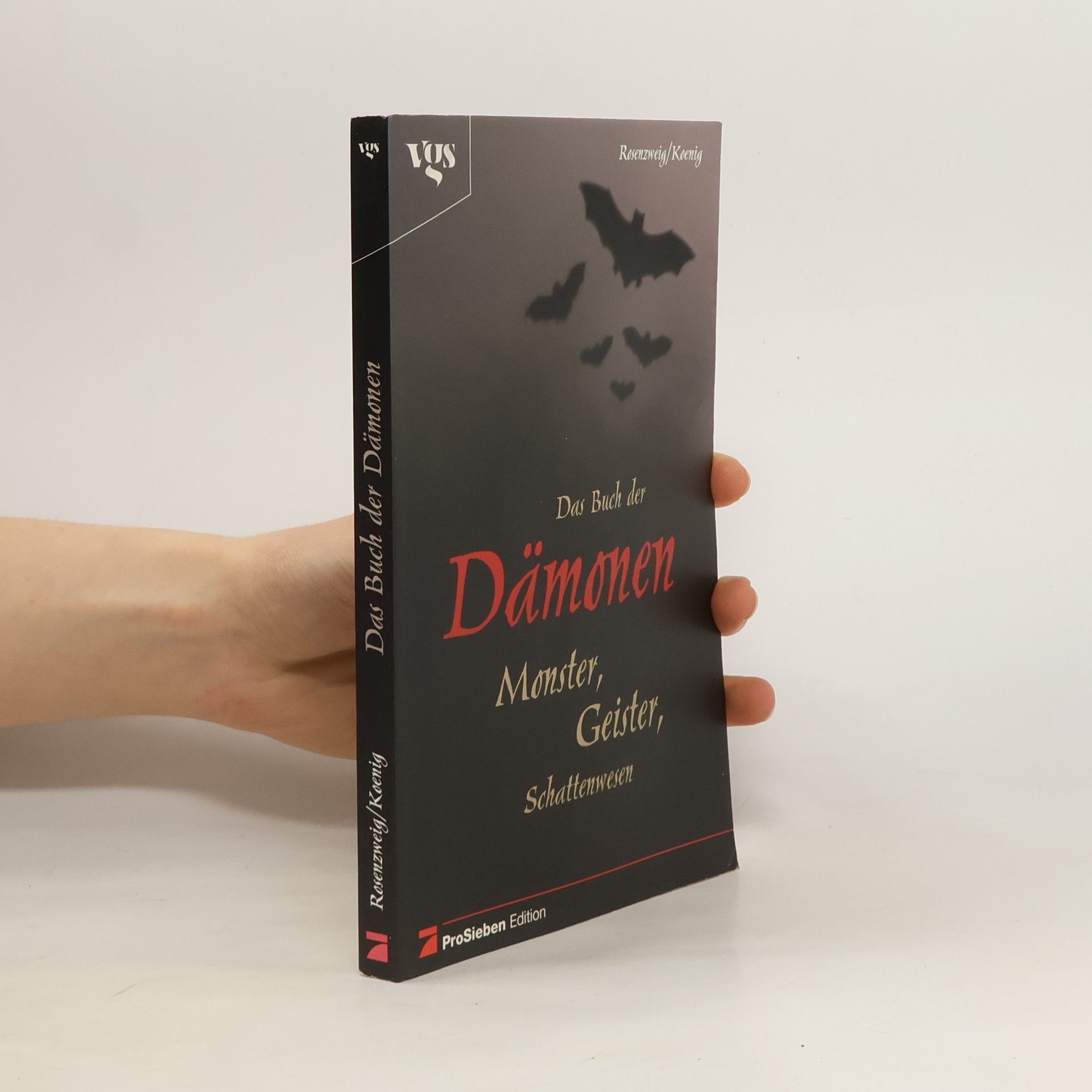 Tabea Rosenzweig Das Buch der Dämonen