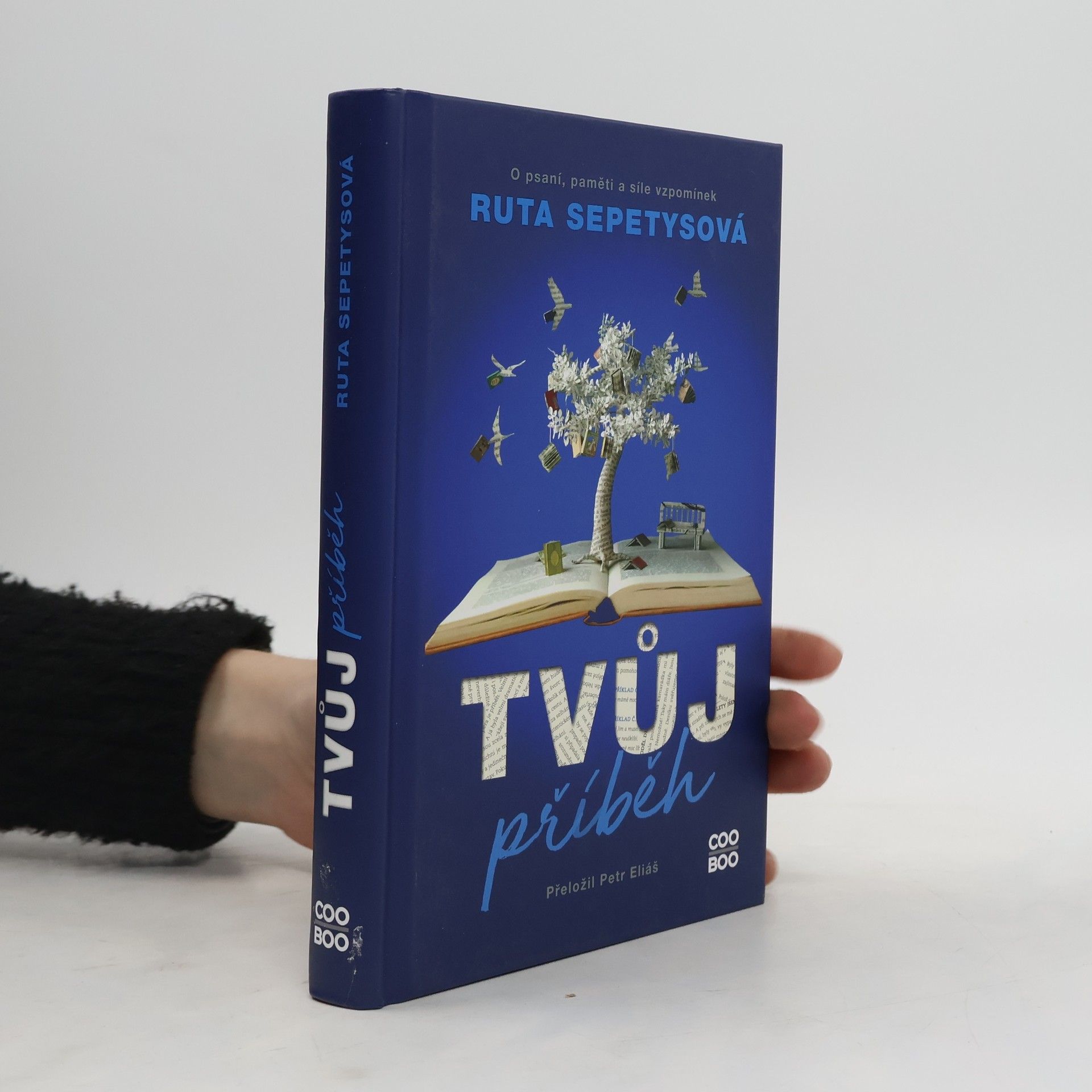 Ruta Sepetysová Tvůj příběh : o psaní, paměti a síle vzpomínek