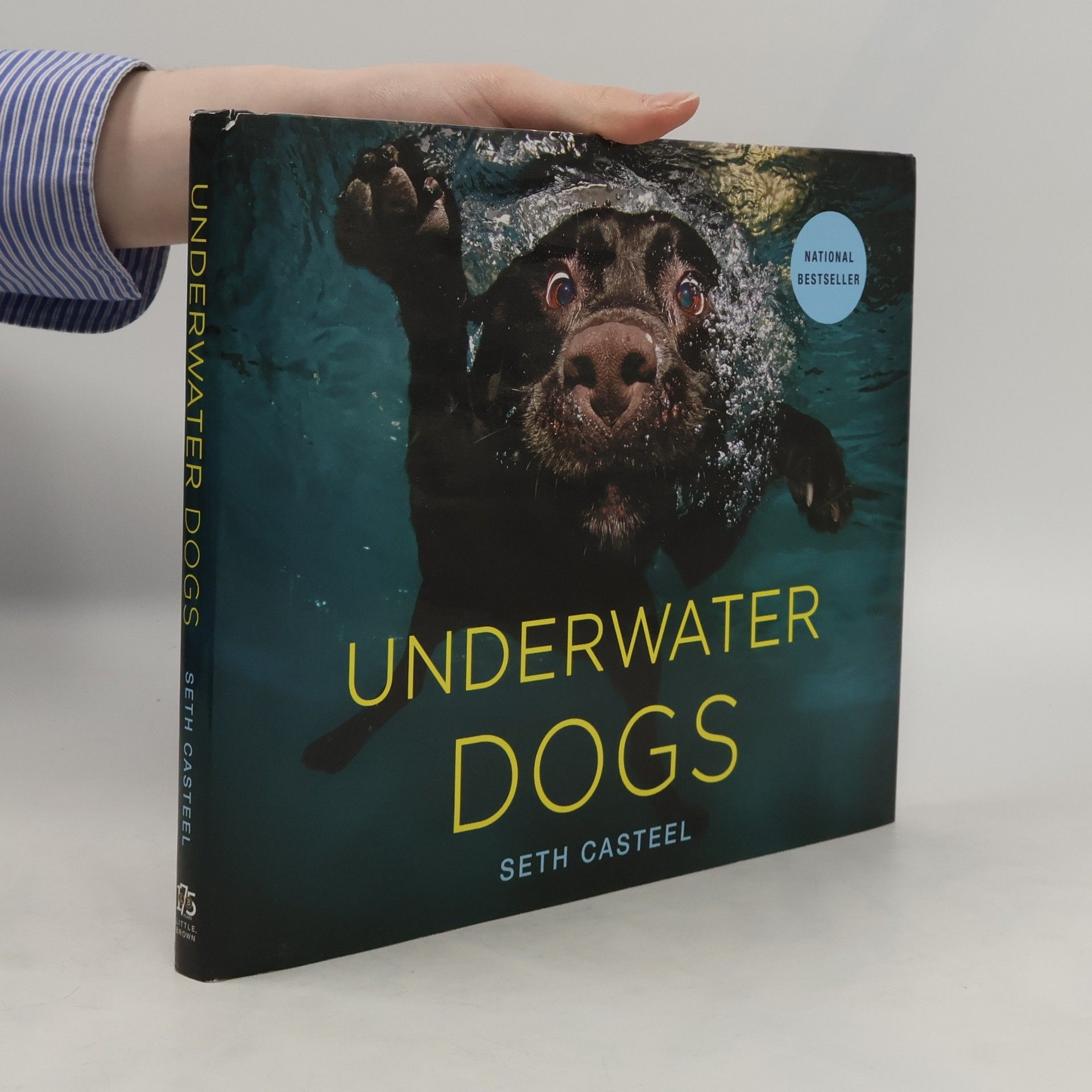 Seth Casteel Underwater Dogs