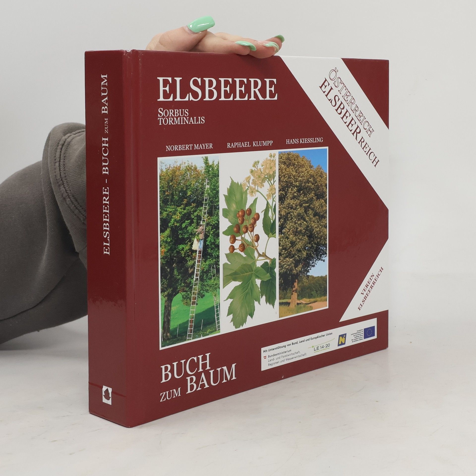Norbert J. Mayer Elsbeere