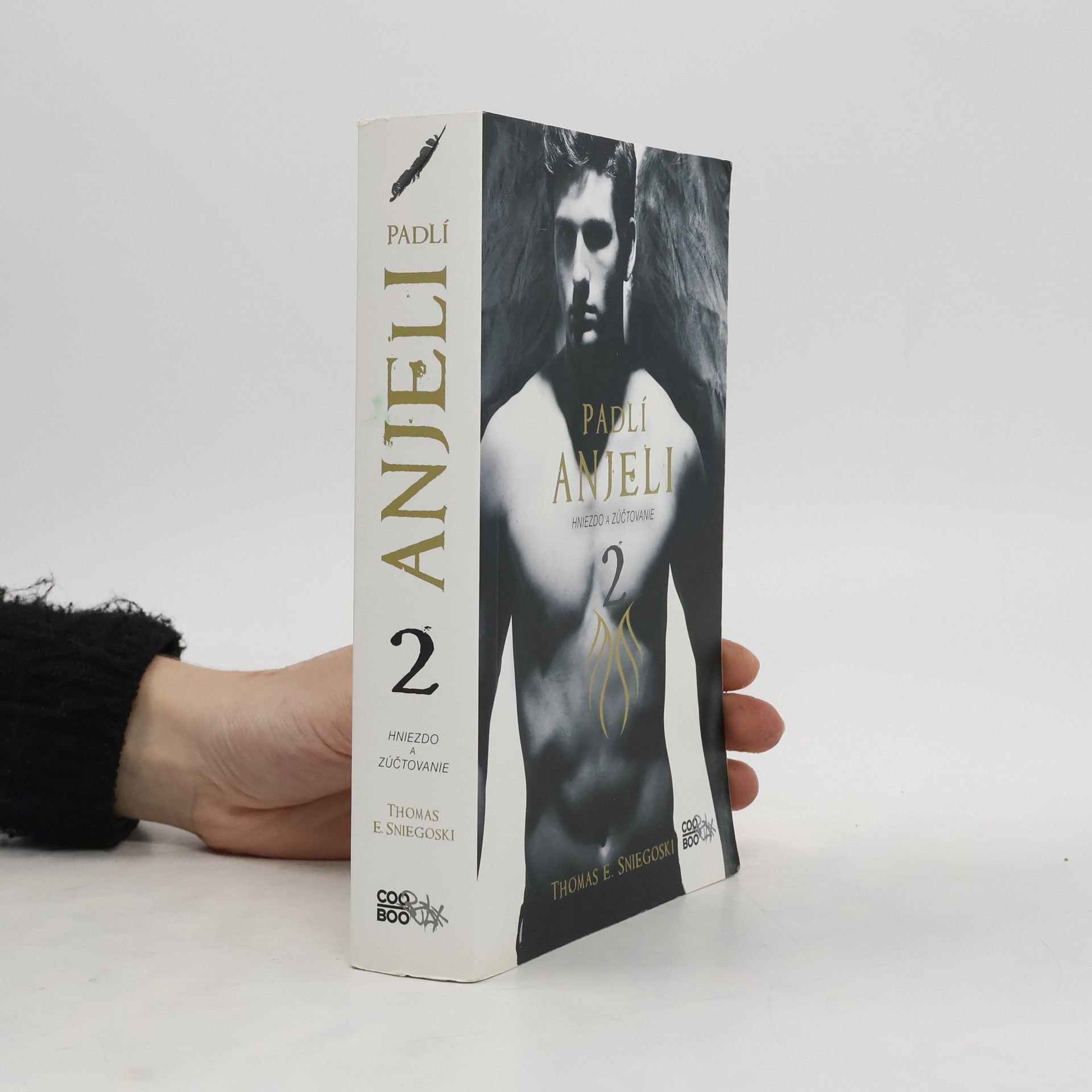 Thomas E. Sniegoski Padlí anjeli 2: Hniezdo a zúčtovanie