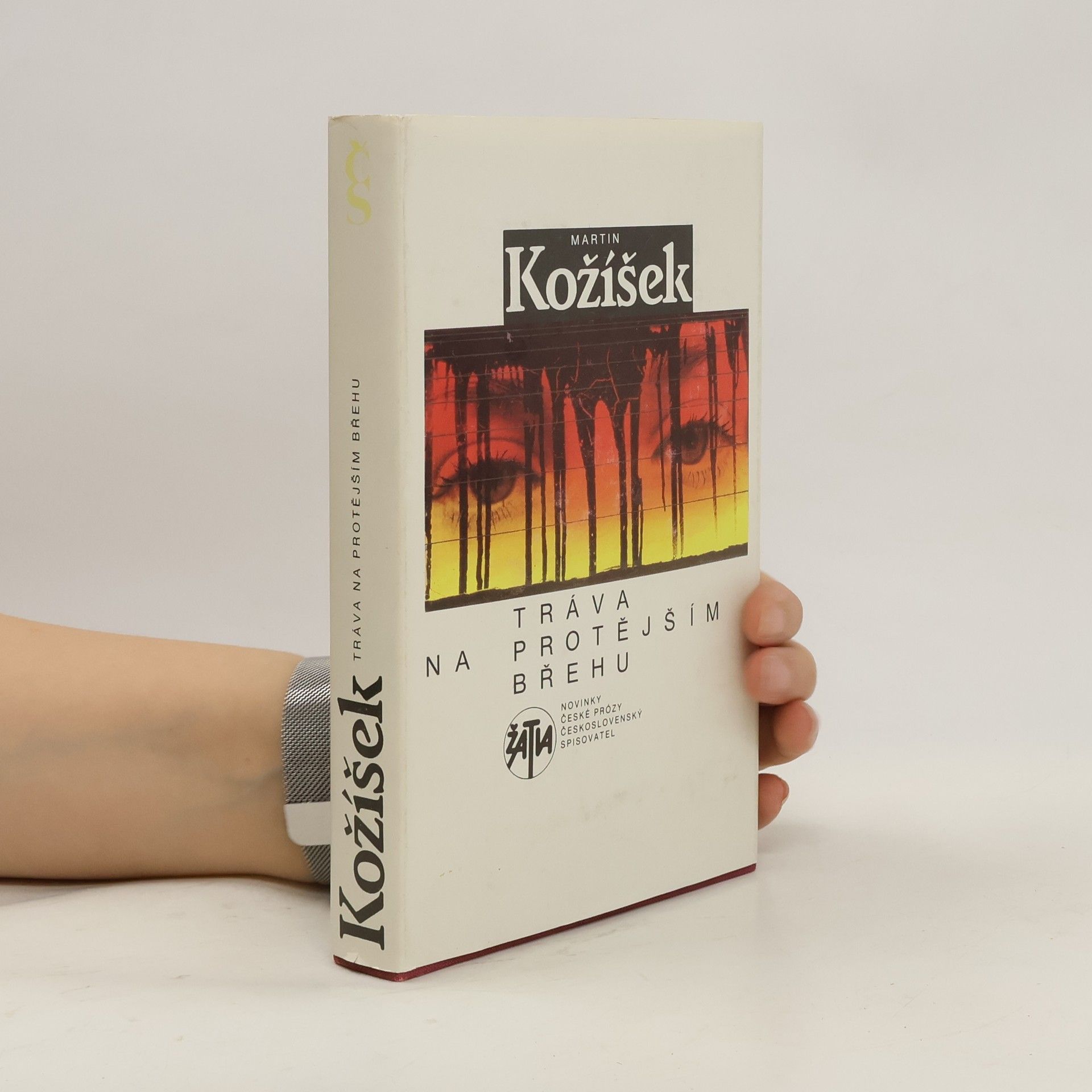 Martin Kožíšek Tráva na protějším břehu