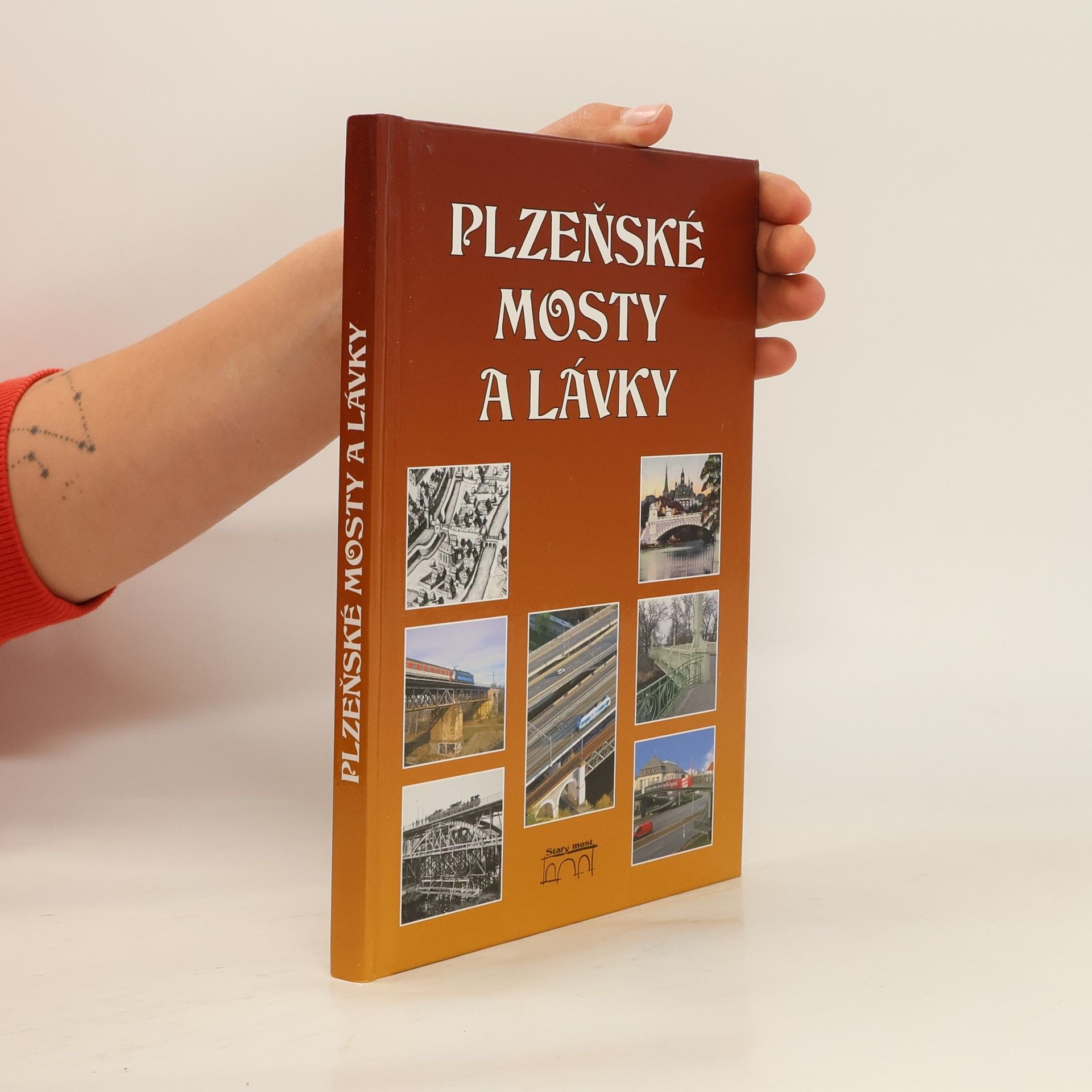 Miroslav Liška Plzeňské mosty a lávky