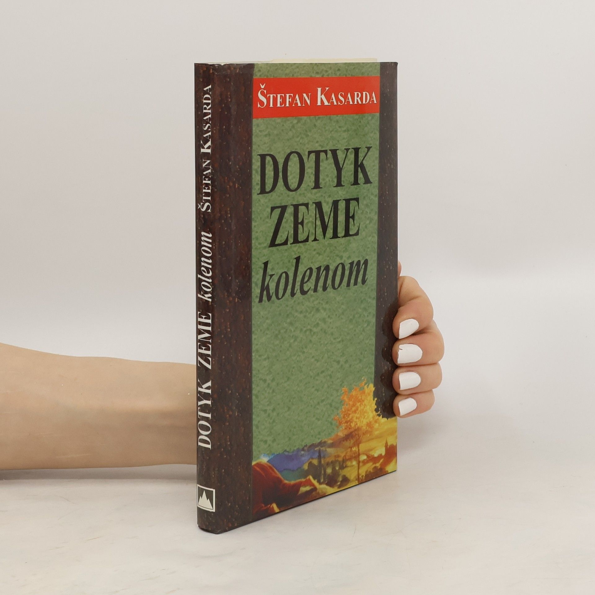 Štefan Kasarda Dotyk zeme kolenom