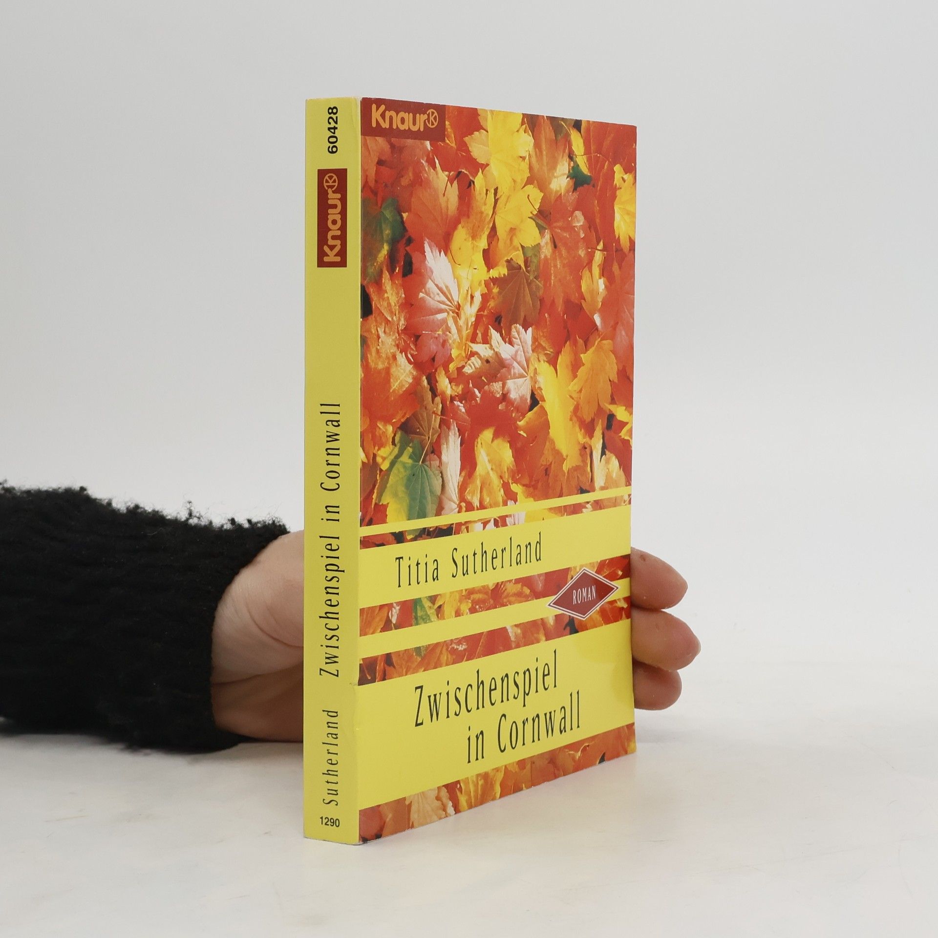 Titia Sutherland Zwischenspiel in Cornwall. Roman