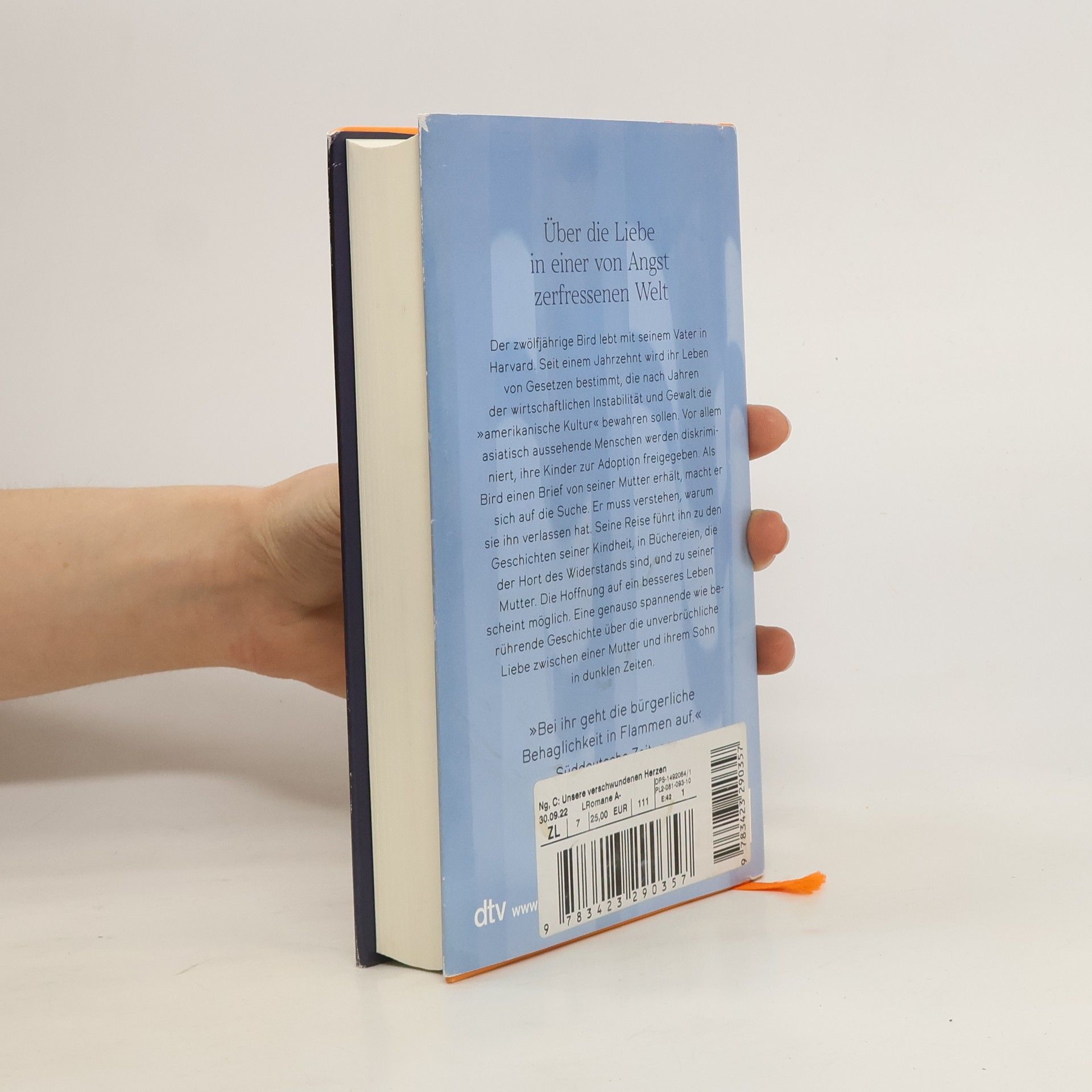Celeste Ng Unsere verschwundenen Herzen