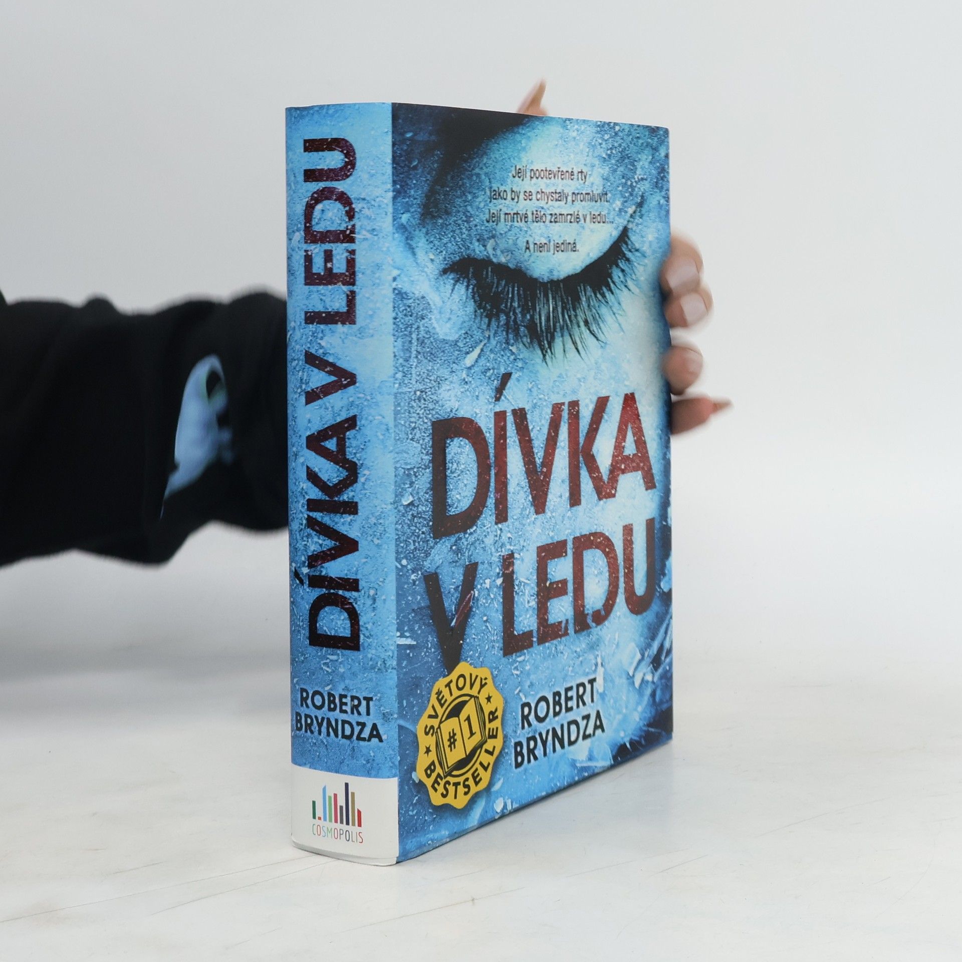 Robert Bryndza Dívka v ledu