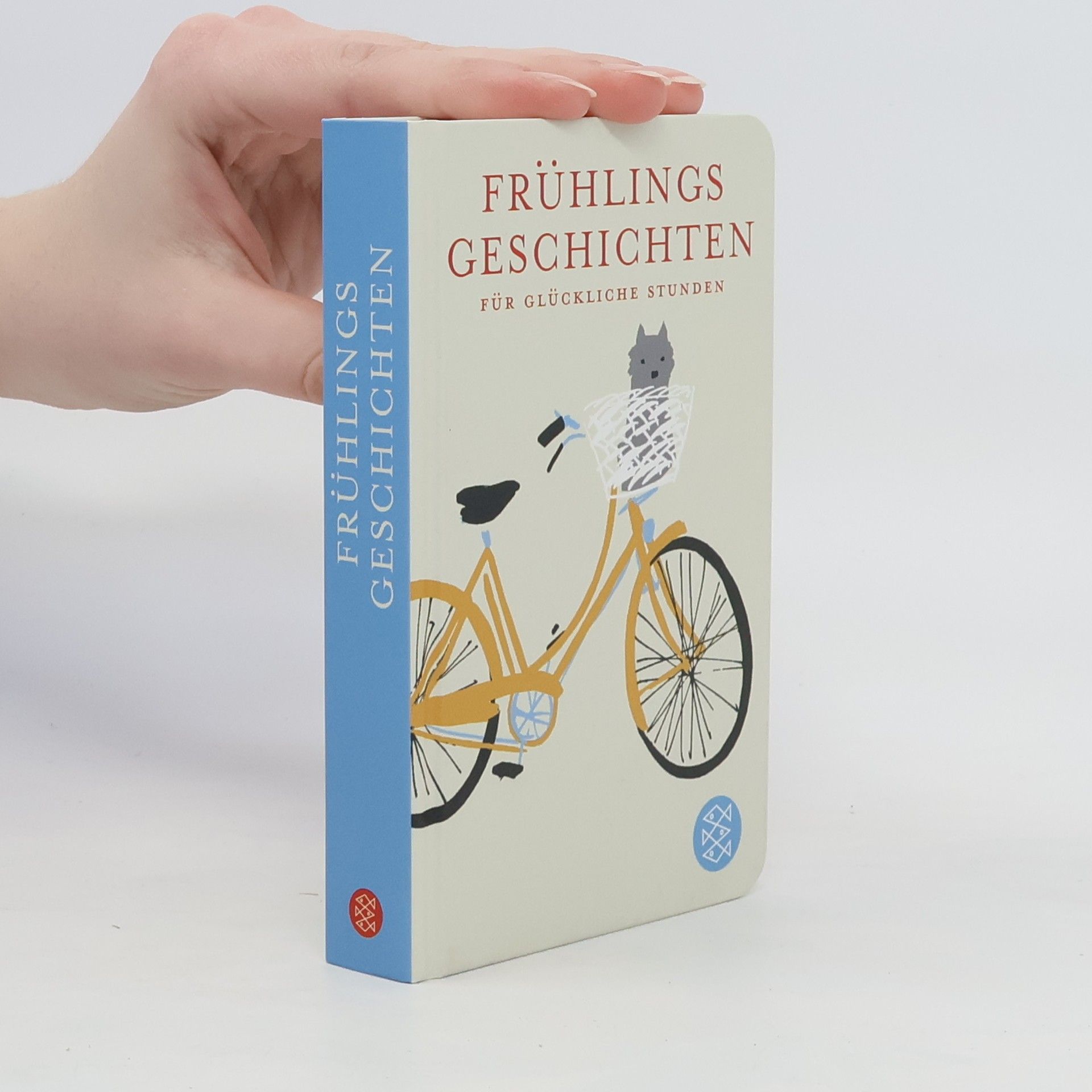 Norma Schneider Frühlingsgeschichten für glückliche Stunden