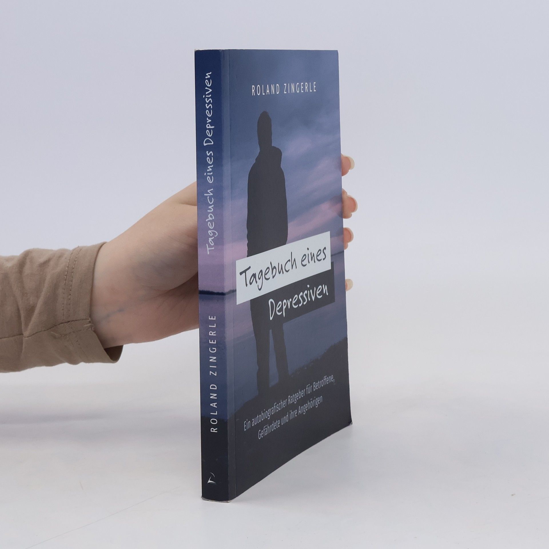 Roland Zingerle Tagebuch eines Depressiven