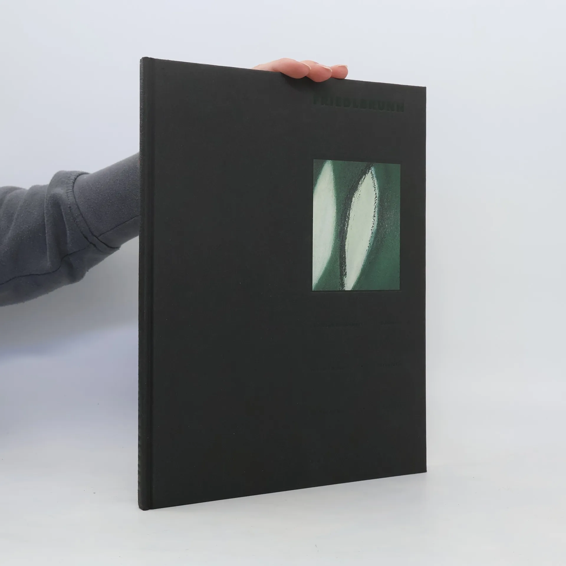 Friedlbrunn | Buch | Hardcover | Christoph Feichtinger