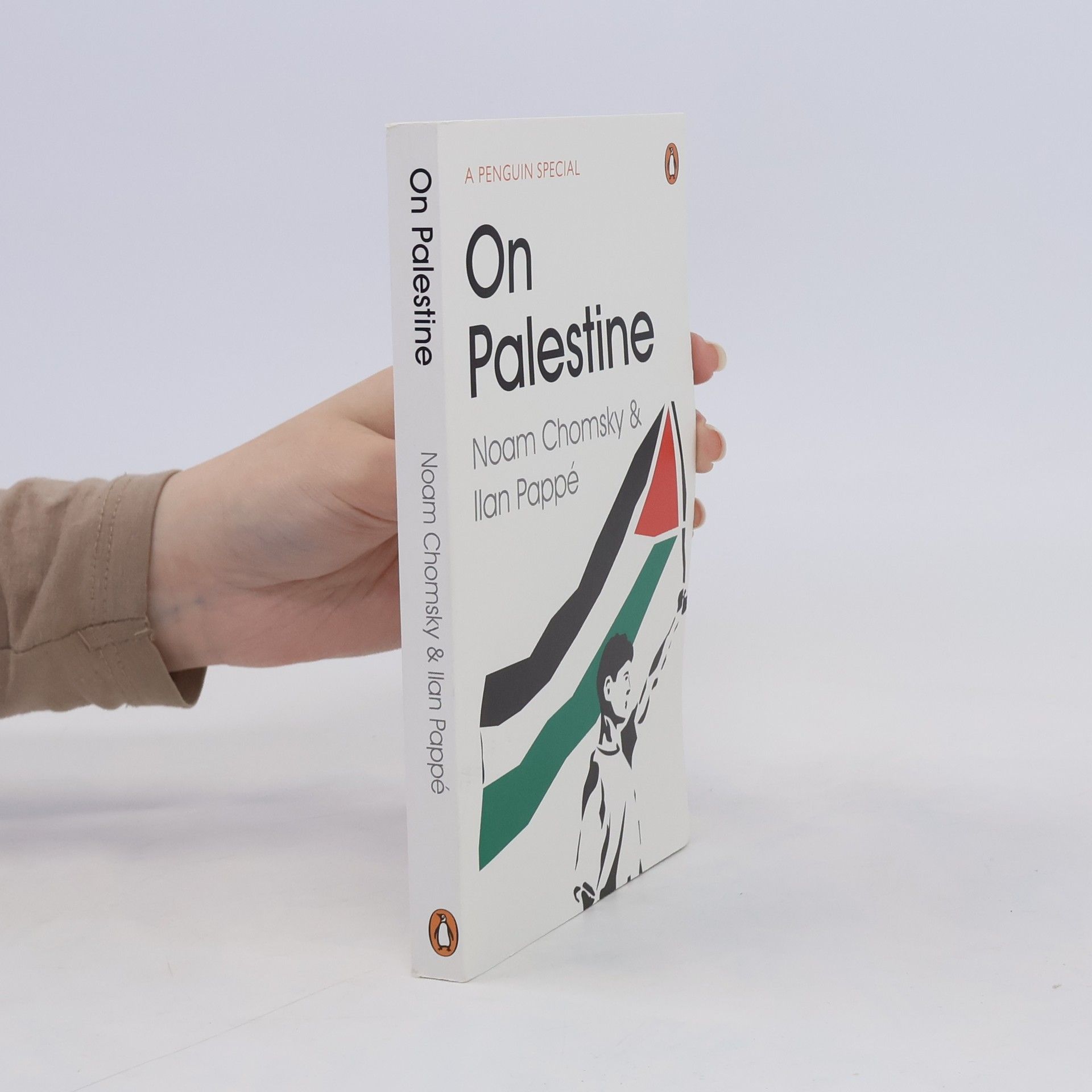 Noam Chomsky On Palestine