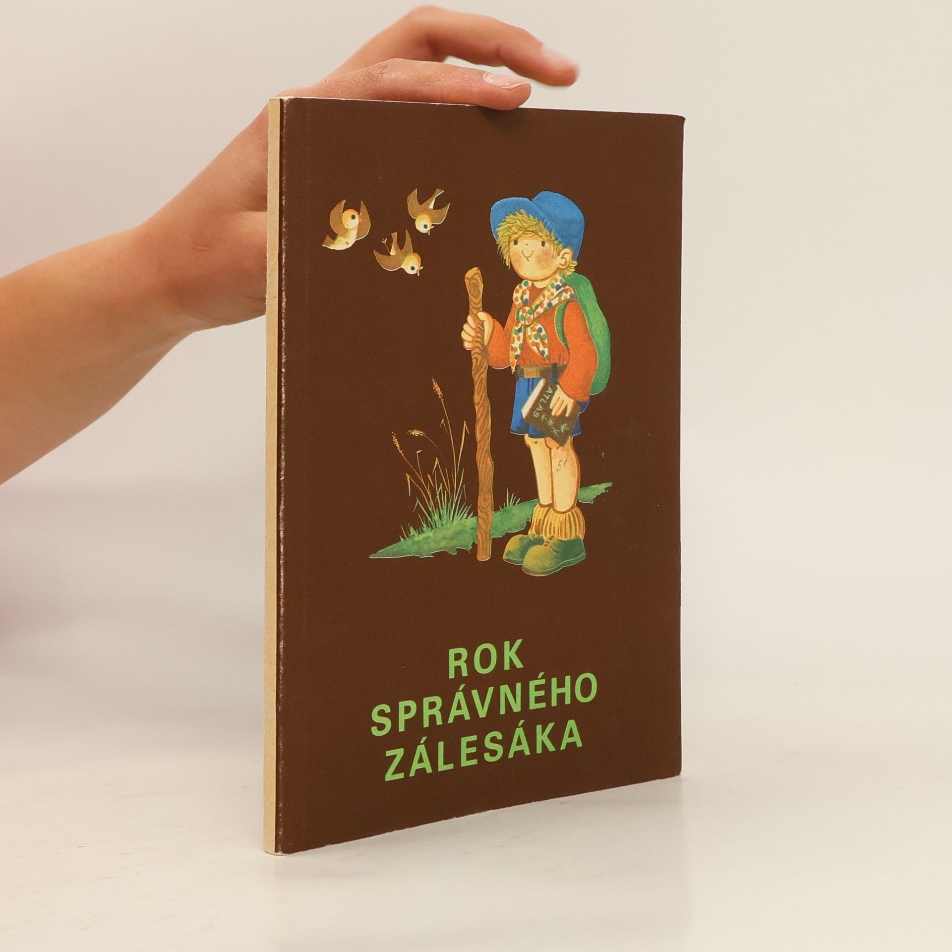 Collectif d'auteurs Rok správného zálesáka