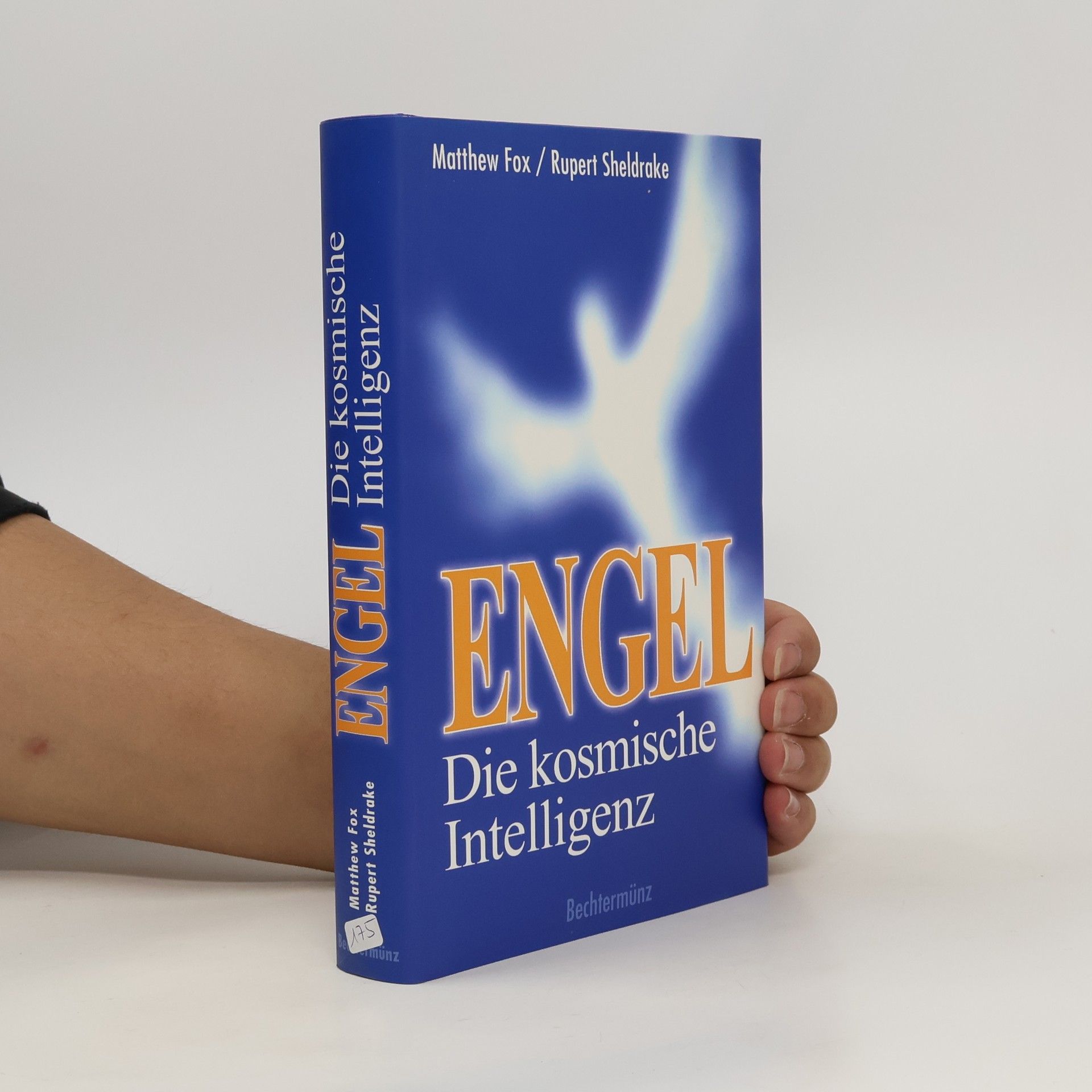 Matthew Fox Engel, die kosmische Intelligenz