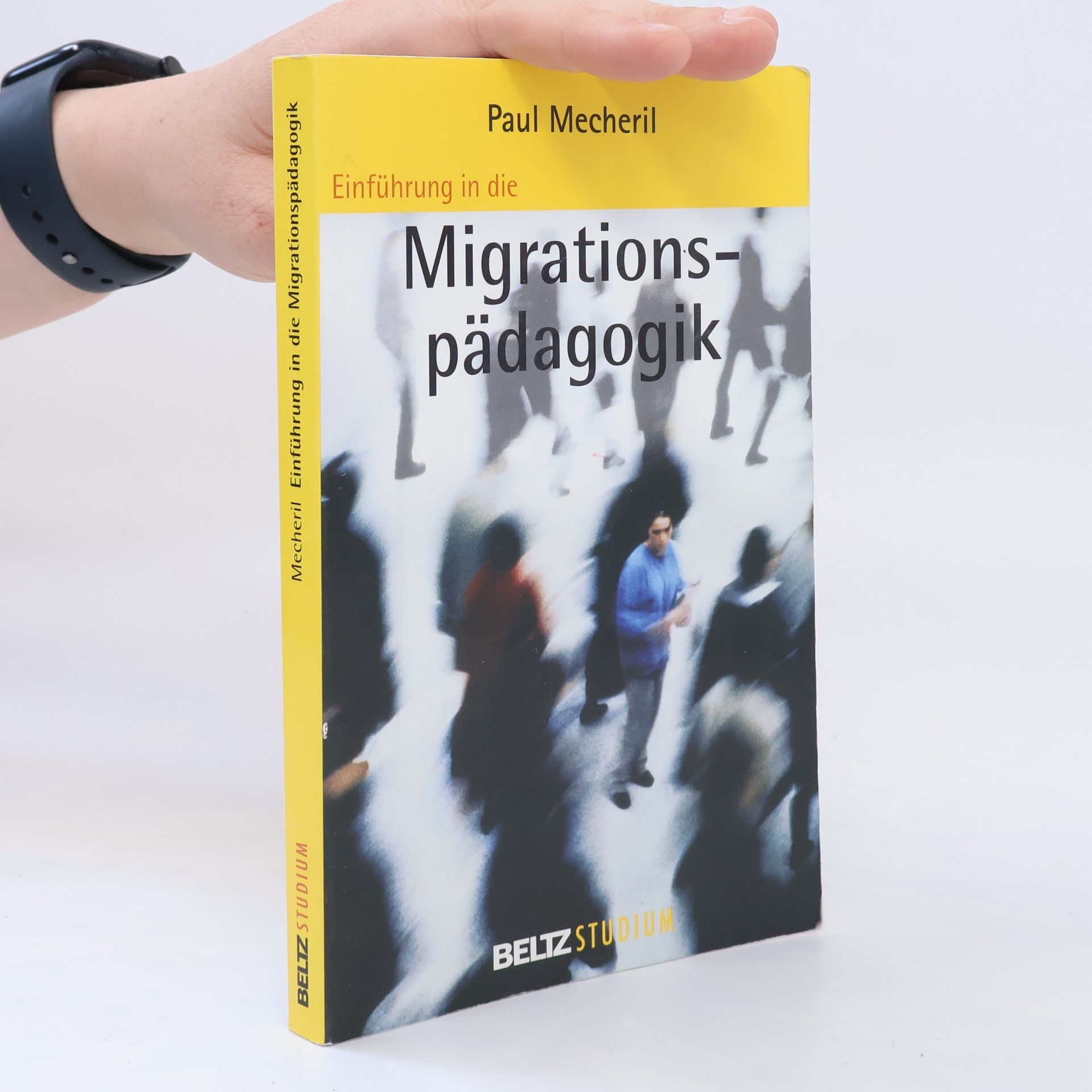 Paul Mecheril Einführung in die Migrationspädagogik