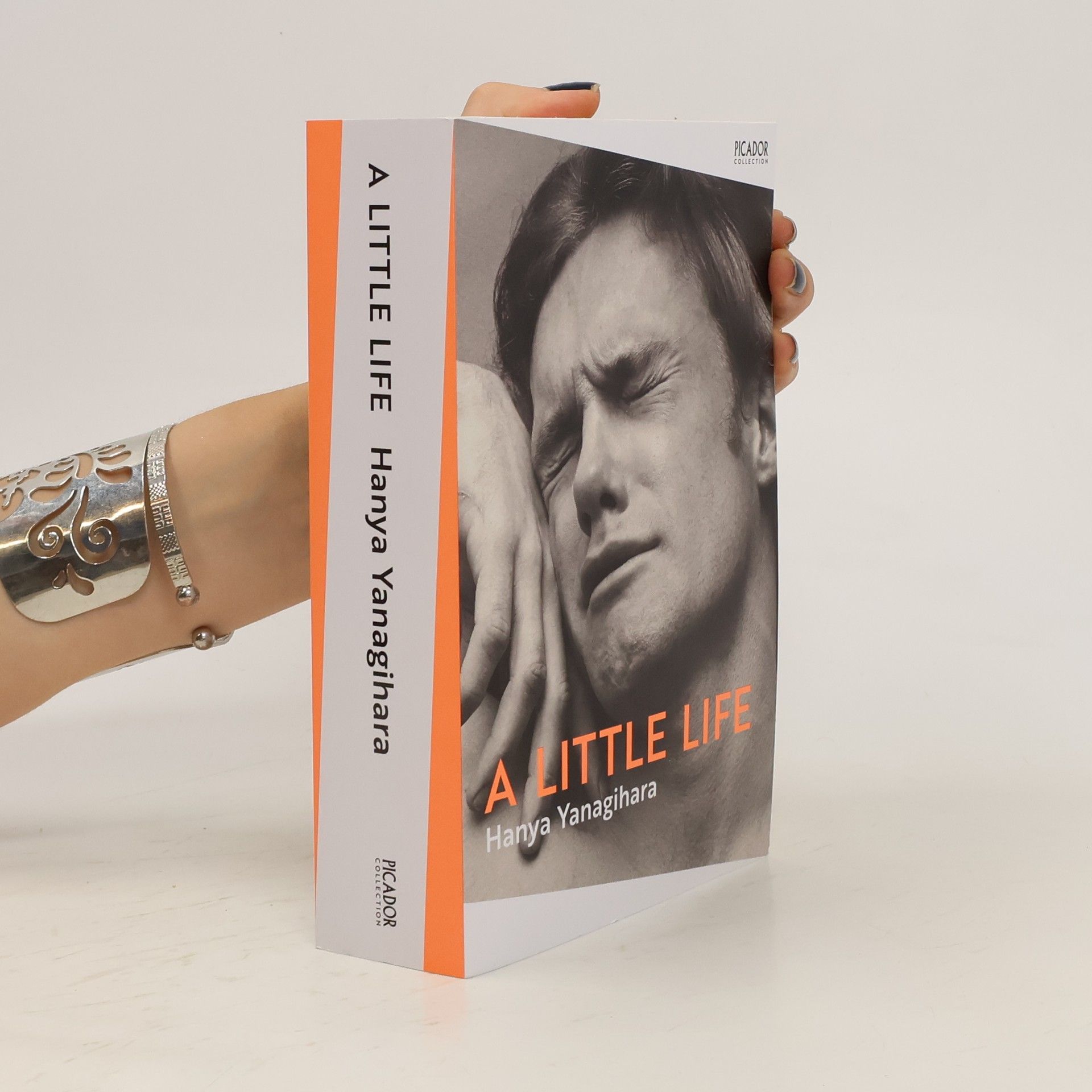 Hanya Yanagihara A Little Life