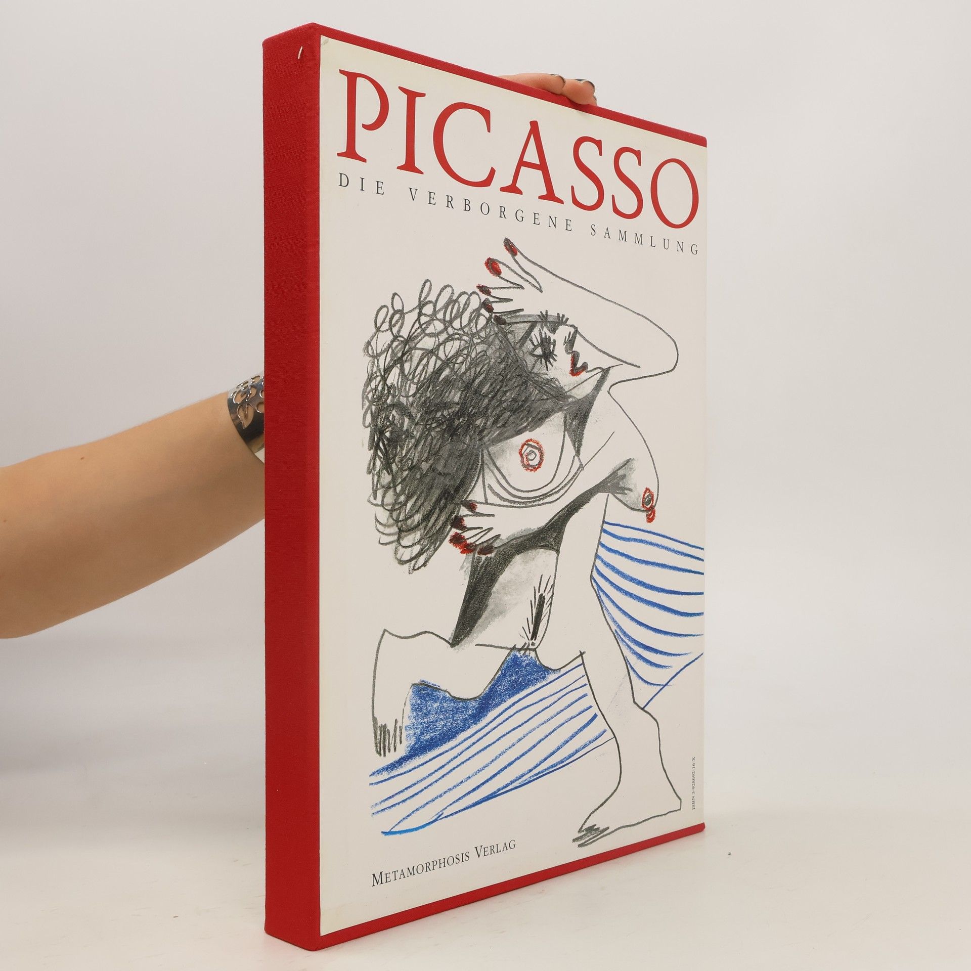 Pablo Picasso Picasso - Die verborgene Sammlung