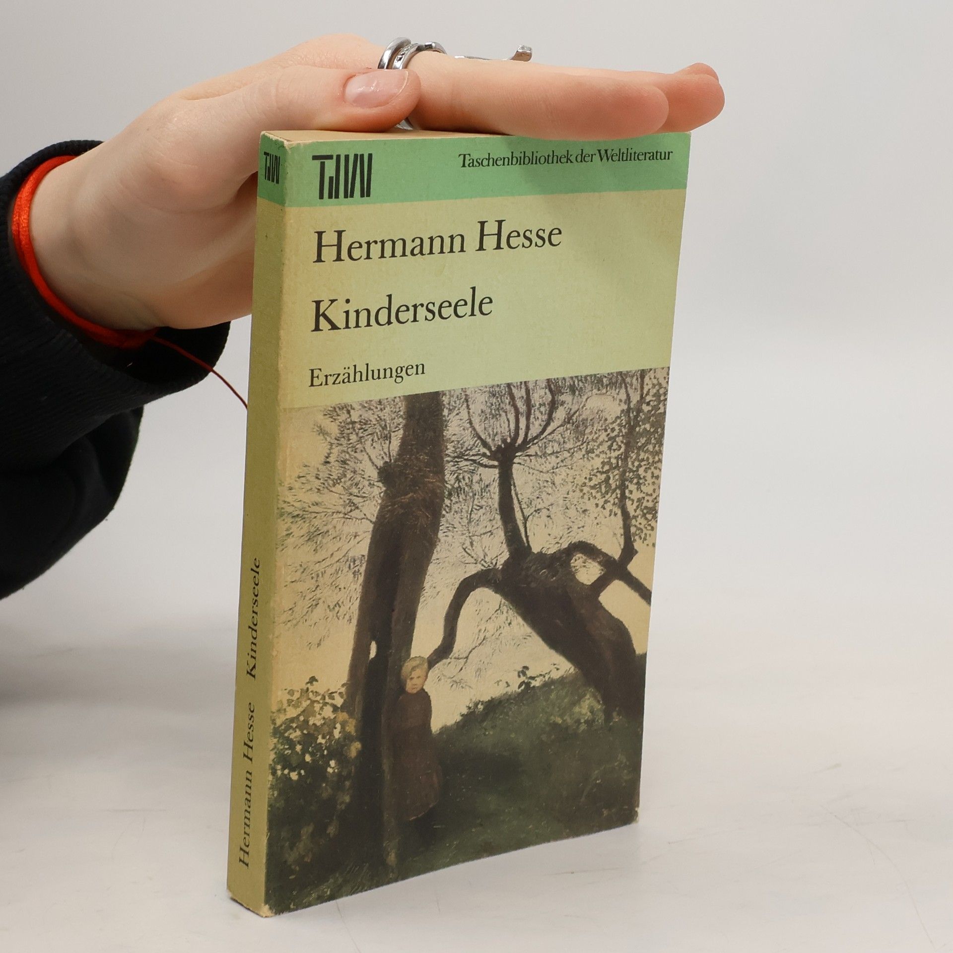 Hermann Hesse Kinderseele : Erzählungen