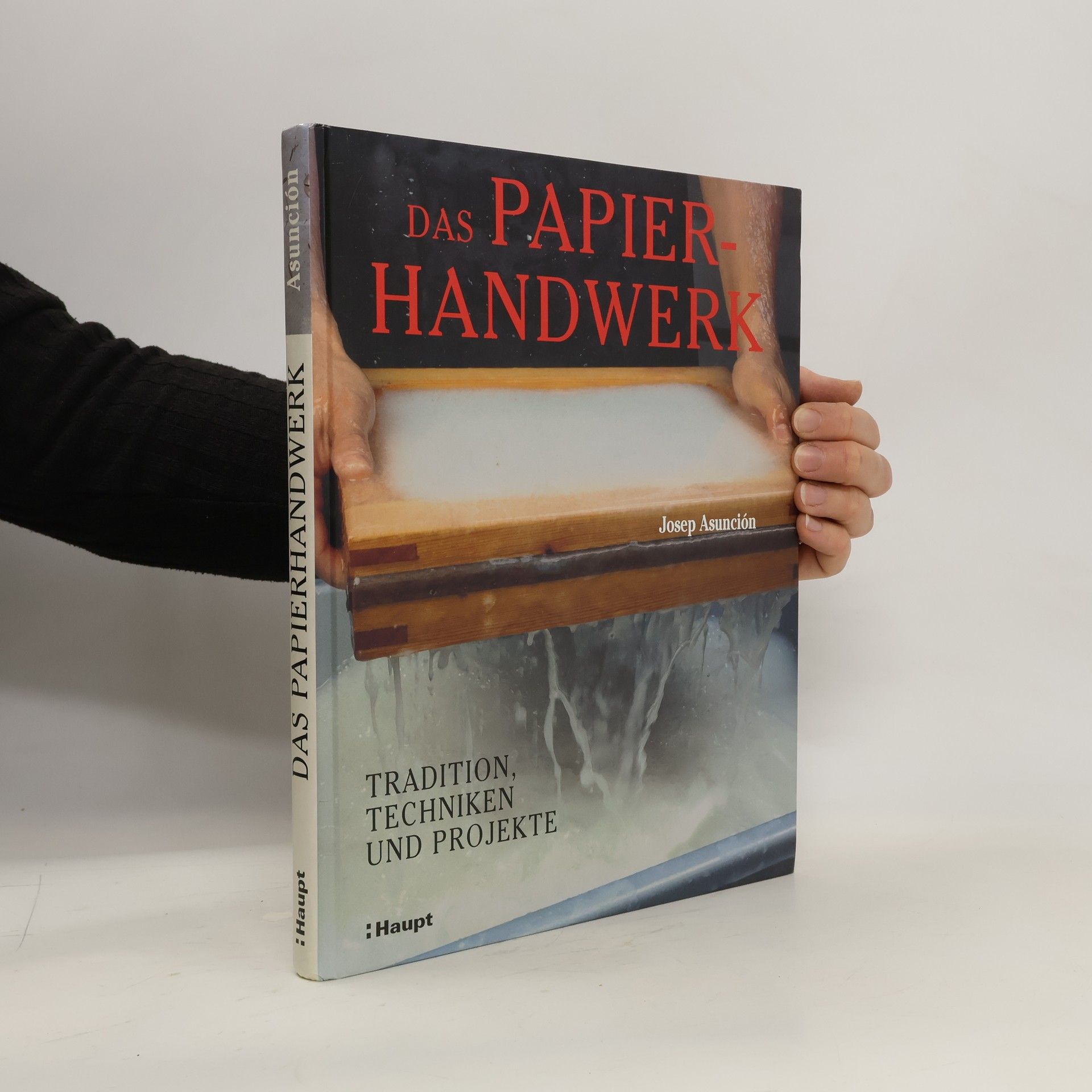 Josep Asunción Das Papierhandwerk
