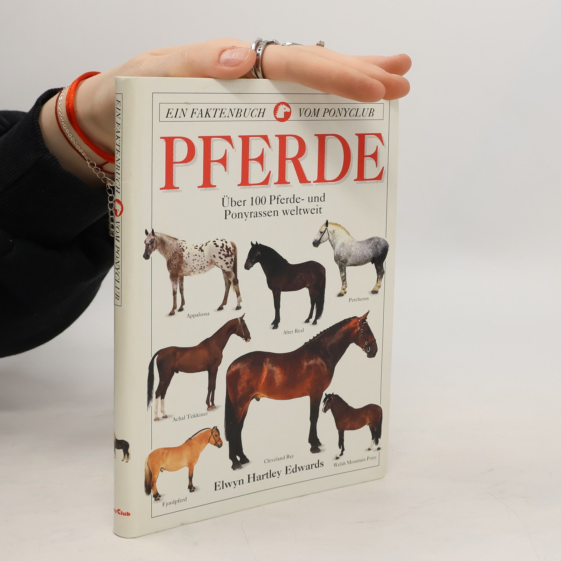 kolektiv Pferde