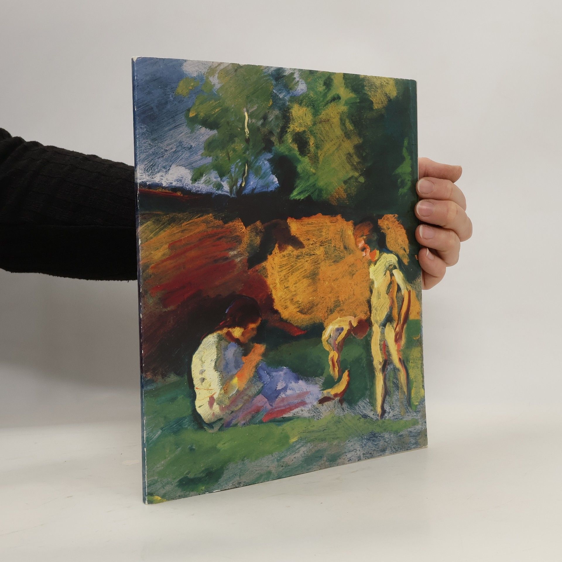 Collectif d'auteurs Hugo Ernst Schnegg