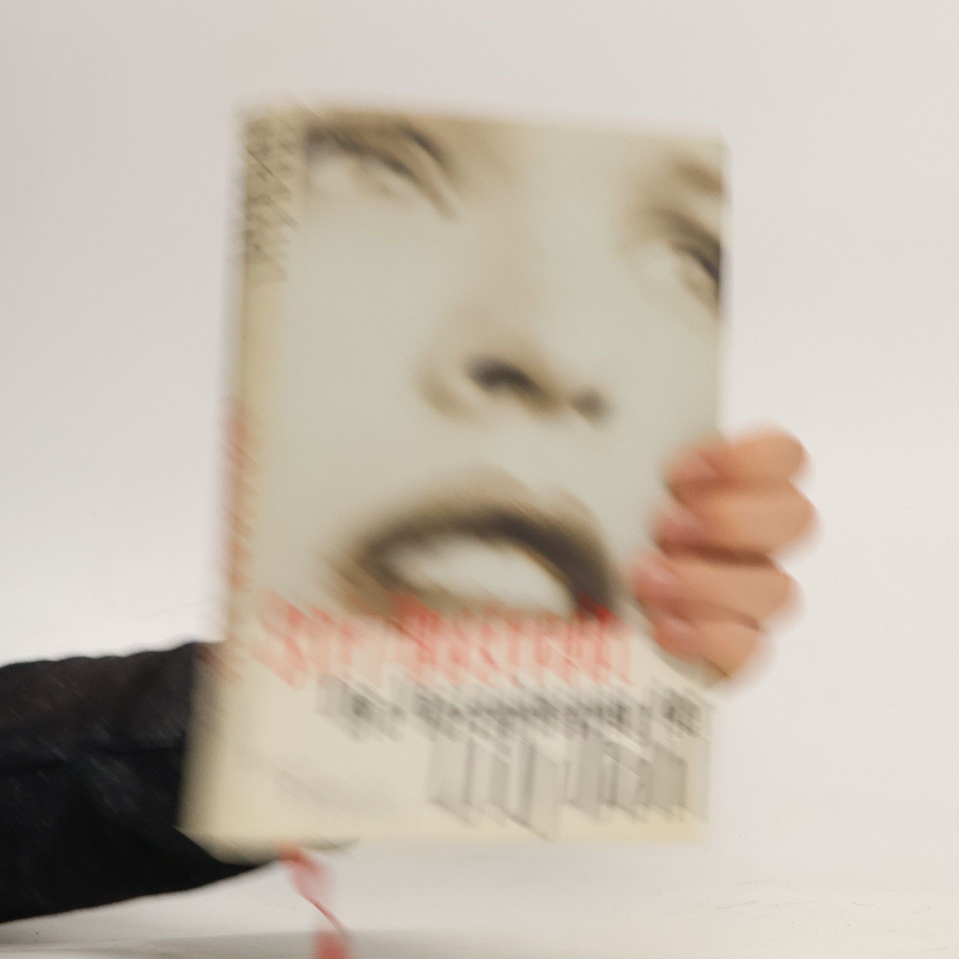Siri Hustvedt Die Verzauberung der Lily Dahl