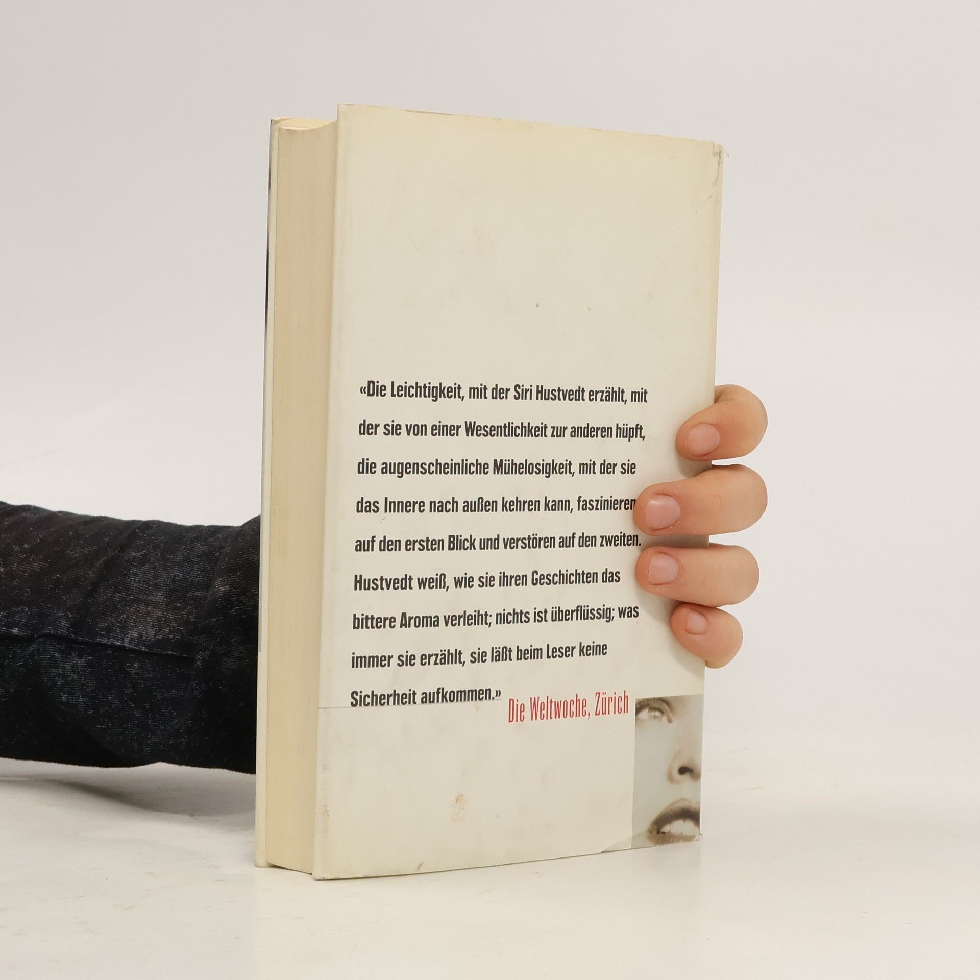 Siri Hustvedt Die Verzauberung der Lily Dahl