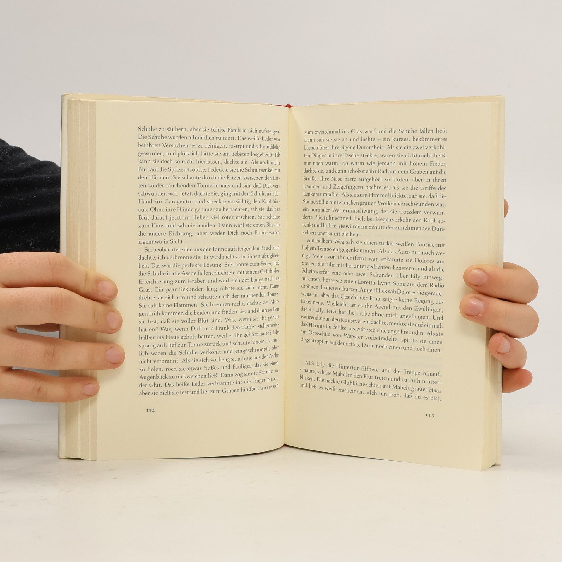 Siri Hustvedt Die Verzauberung der Lily Dahl