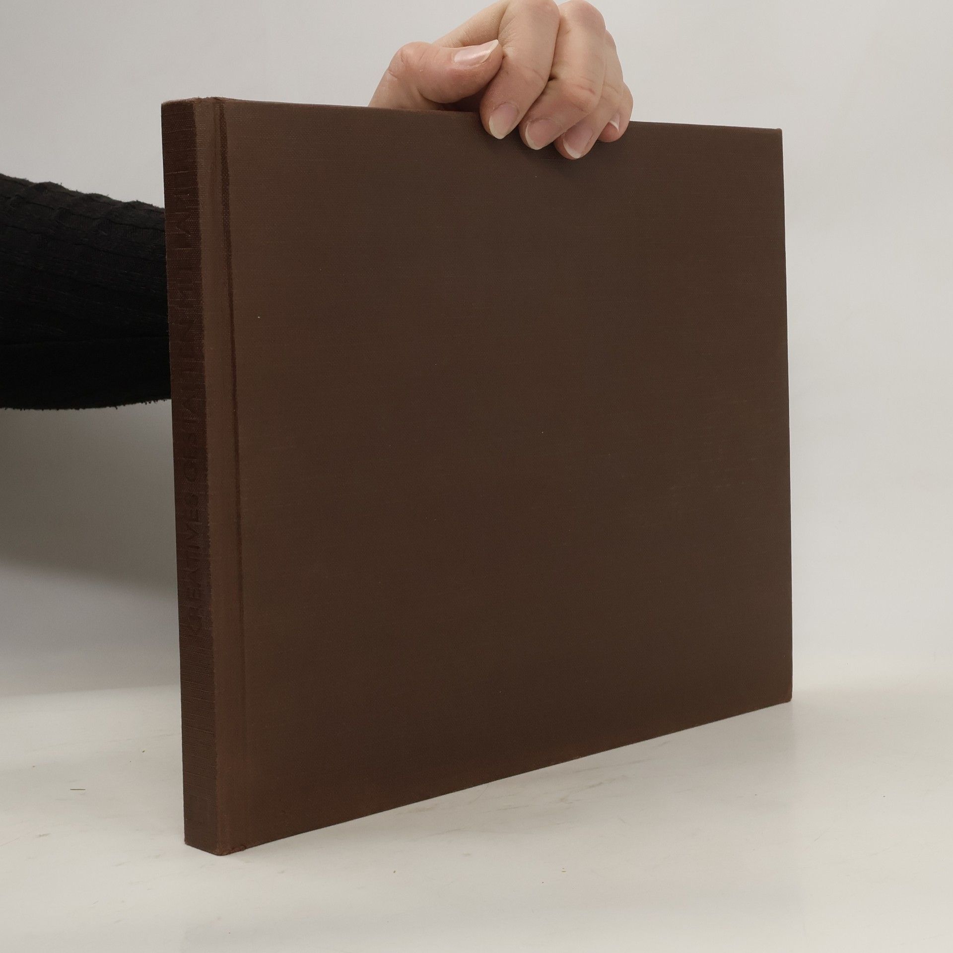 Faith Shannon Kreatives Gestalten mit Papier