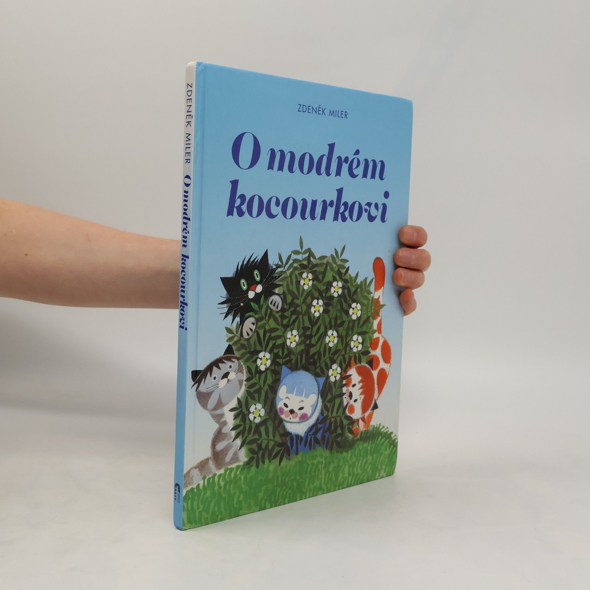 Marika Hellstrom Kennedy O modrém kocourkovi