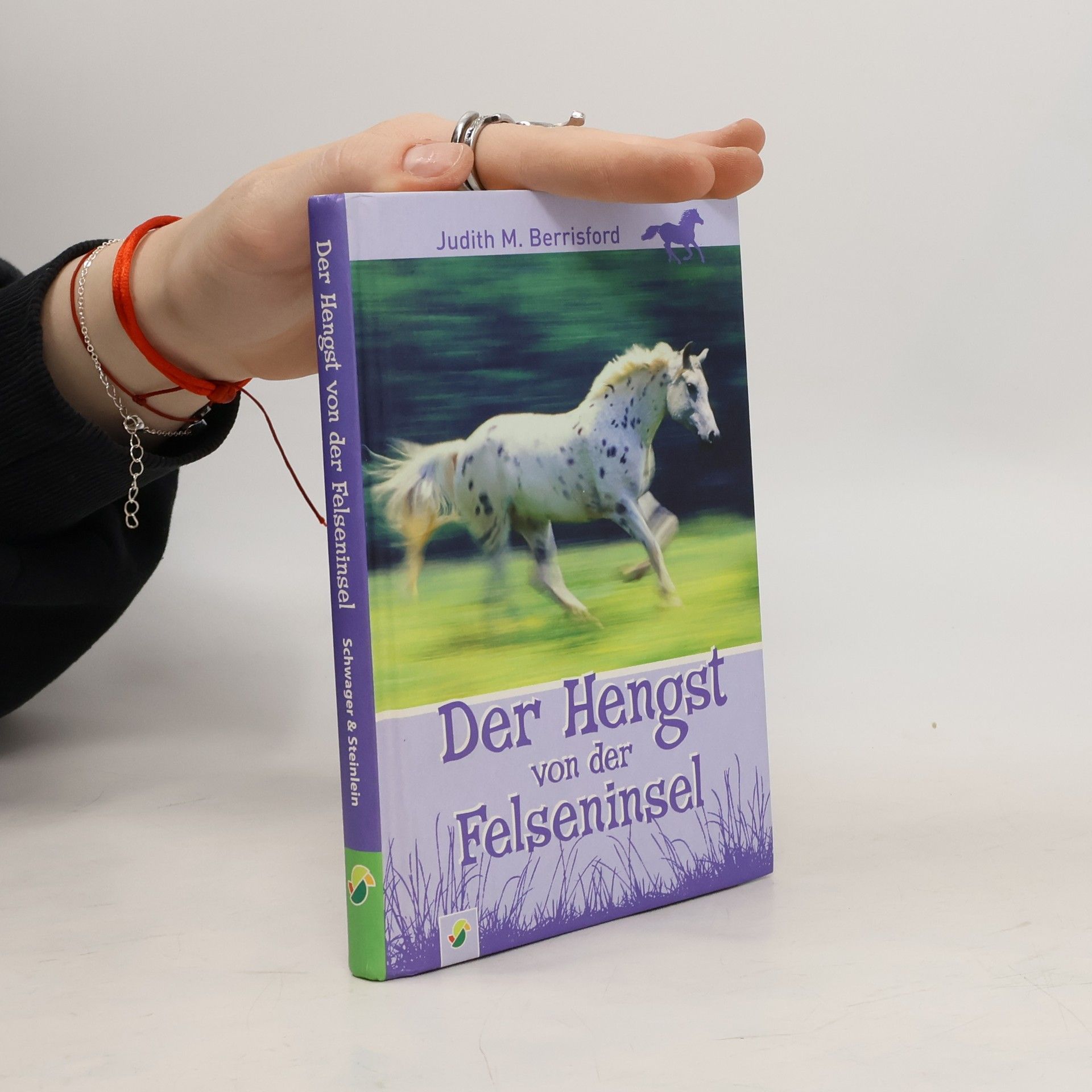 Judith Mary Berrisford Der Hengst von der Felseninsel