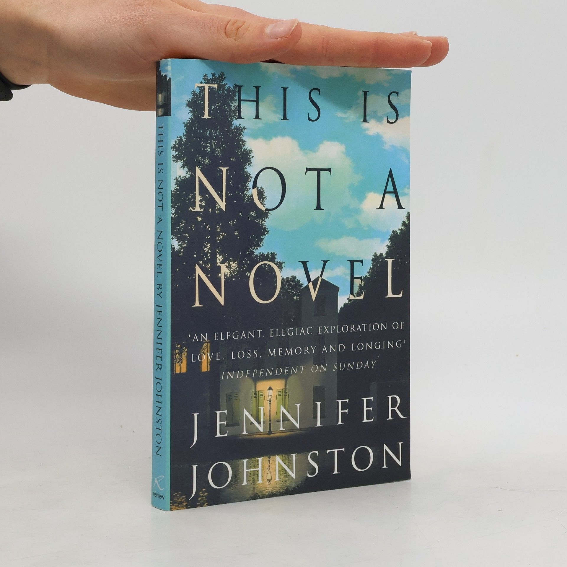 Jennifer Johnston This Is Not a Novel