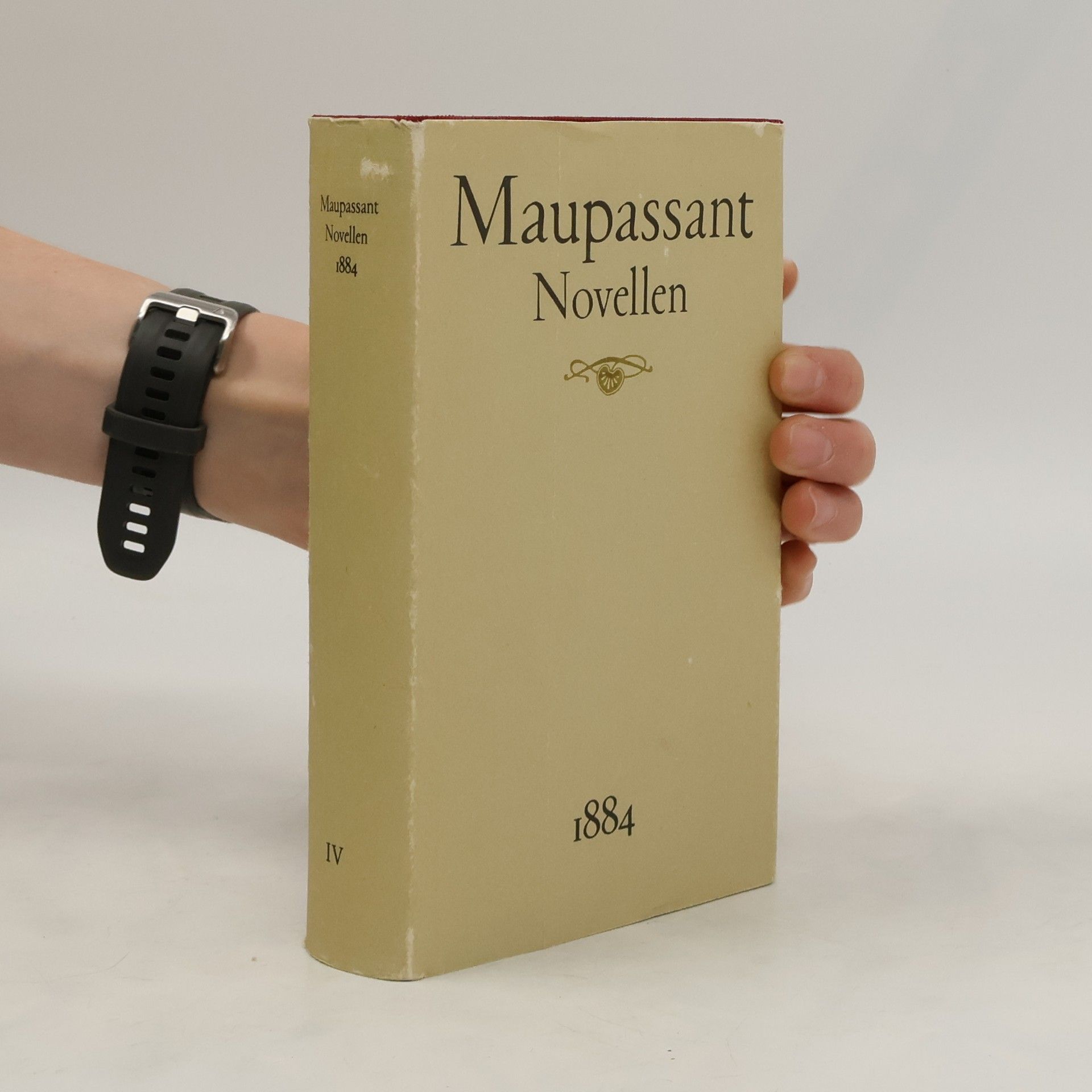 Guy de Maupassant Novellen IV