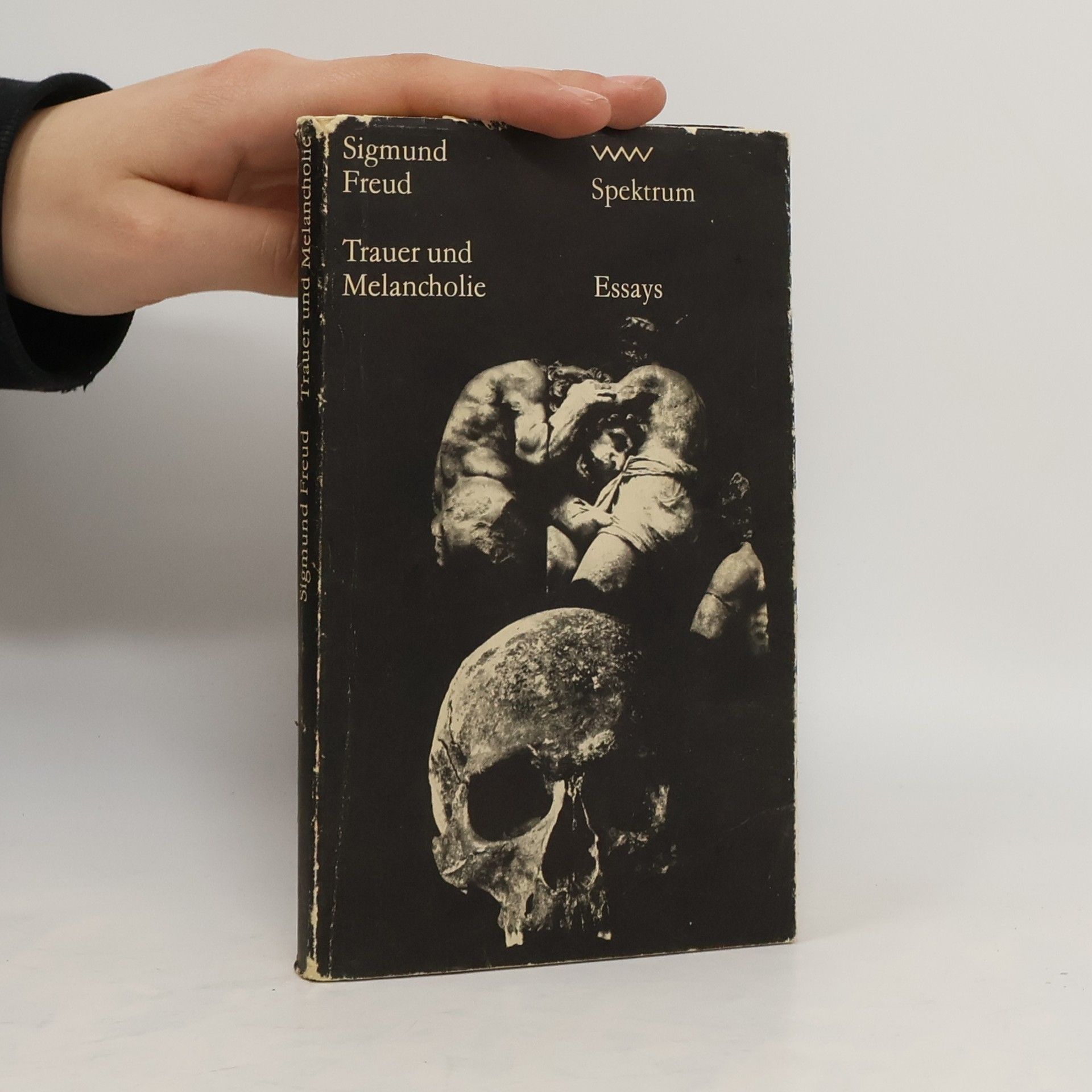 Sigmund Freud Trauer und Melancholie
