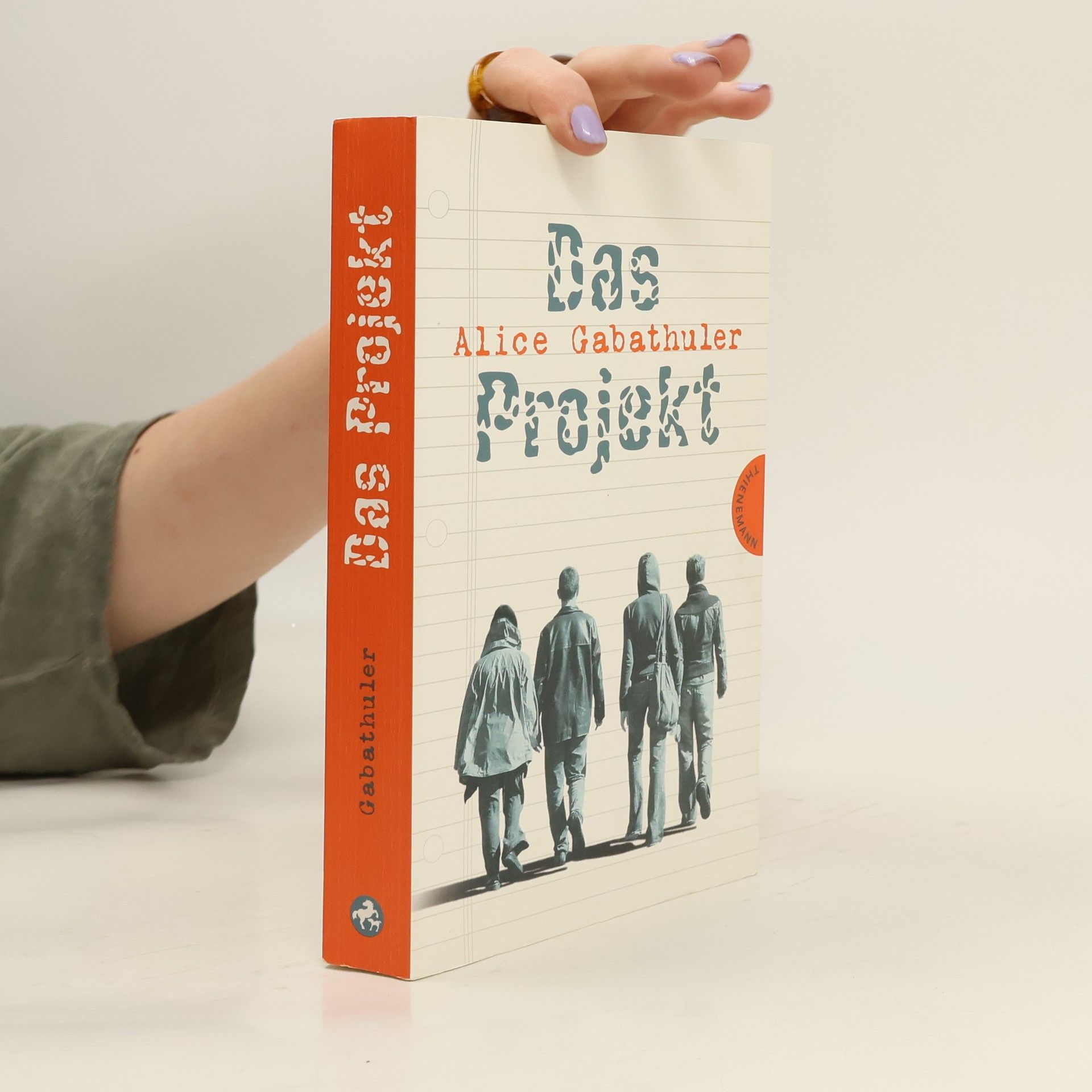 Alice Gabathuler Das Projekt