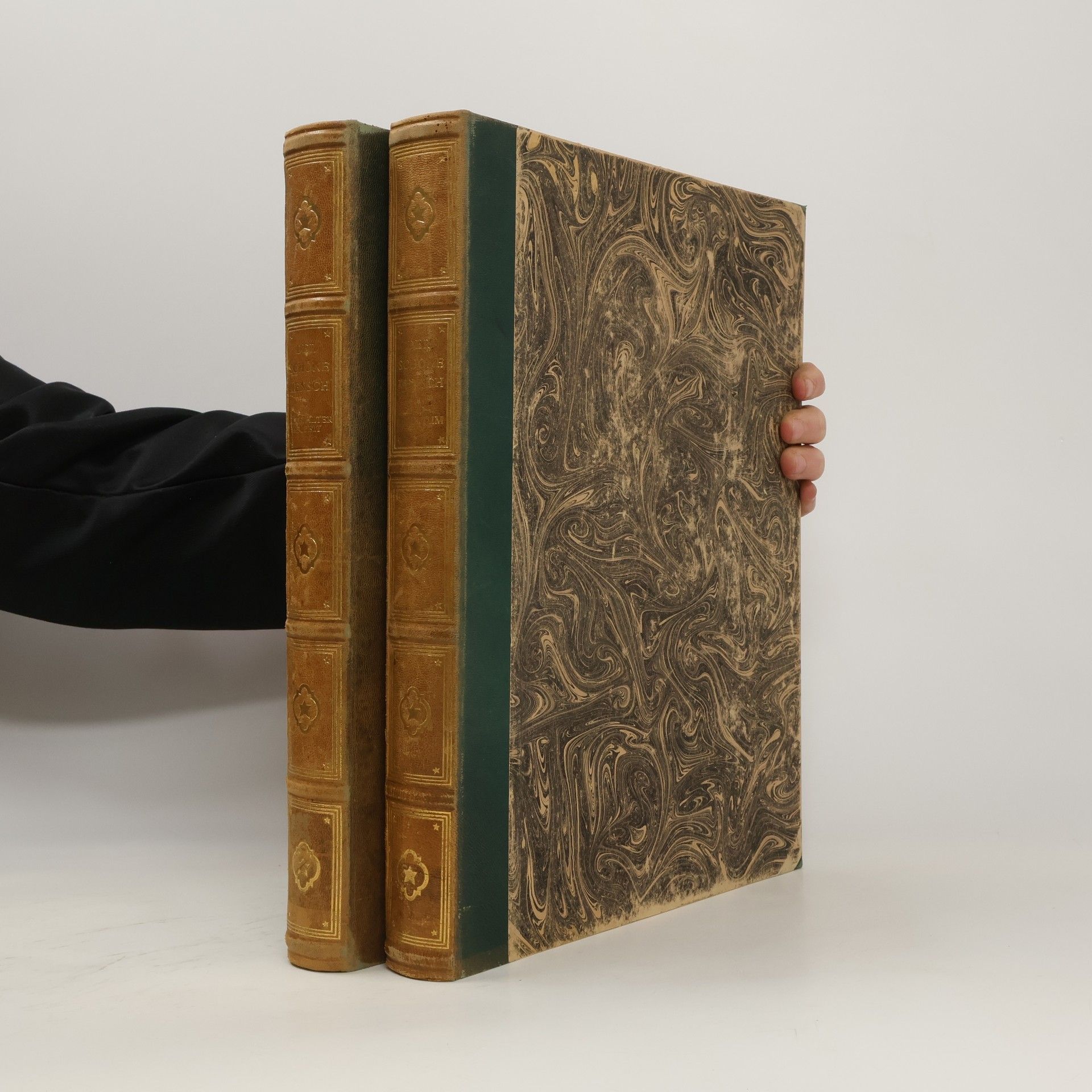 Der Stil in den bildenden Künsten aller Zeiten I. + II.