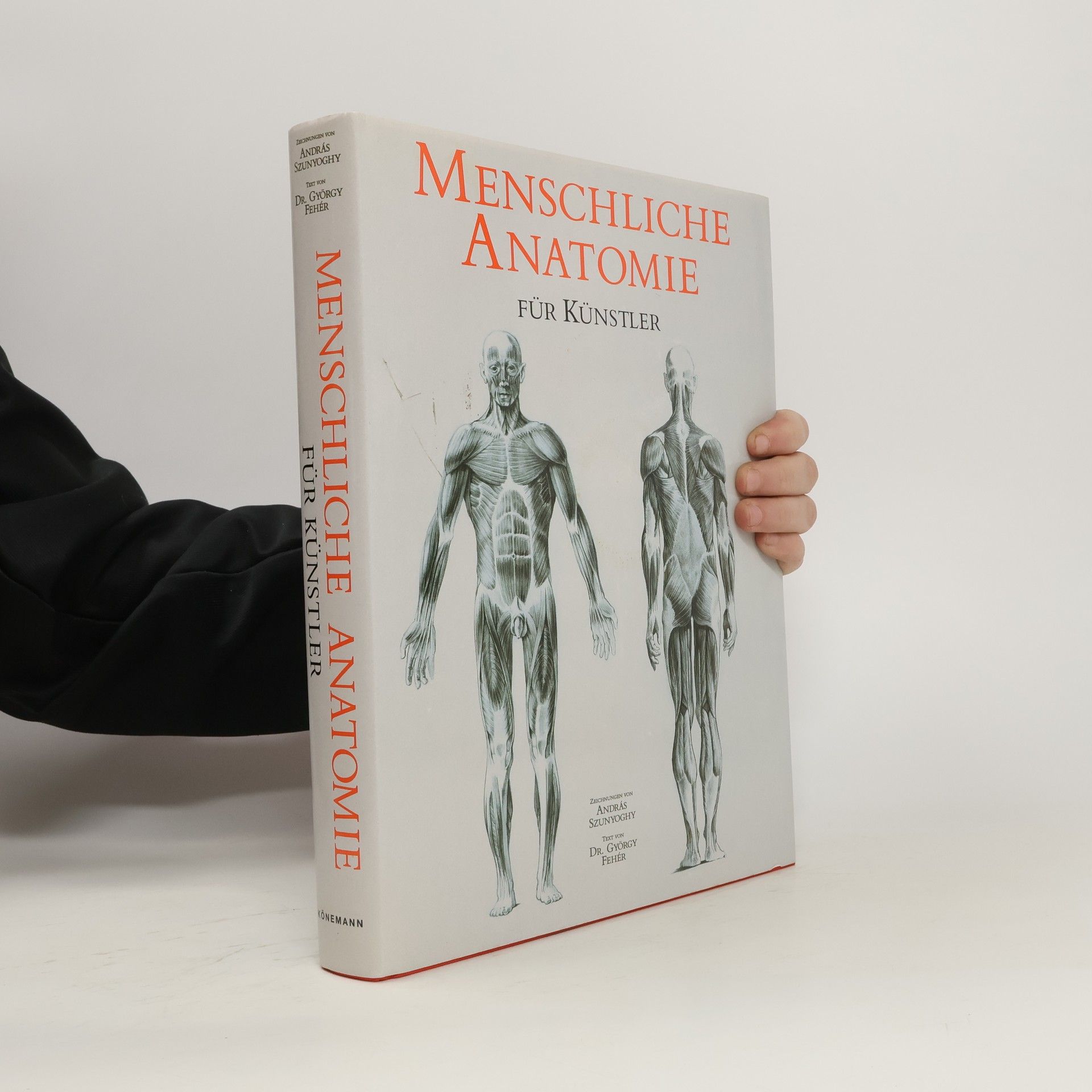 György Fehér Menschliche Anatomie für Künstler