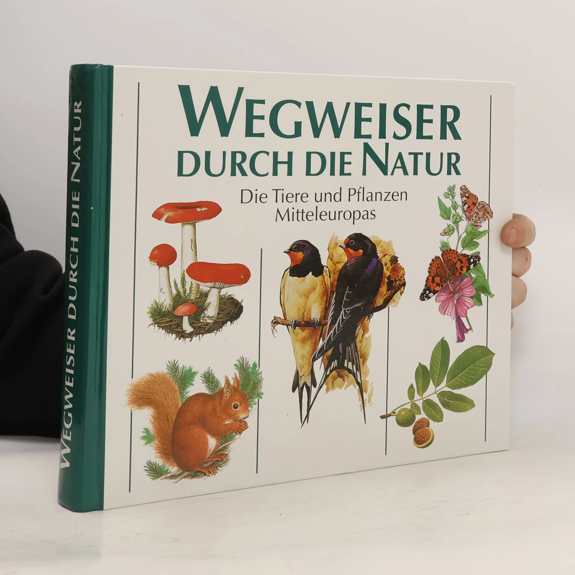 Wegweiser durch die Natur | Buch | Hardcover | kolektiv
