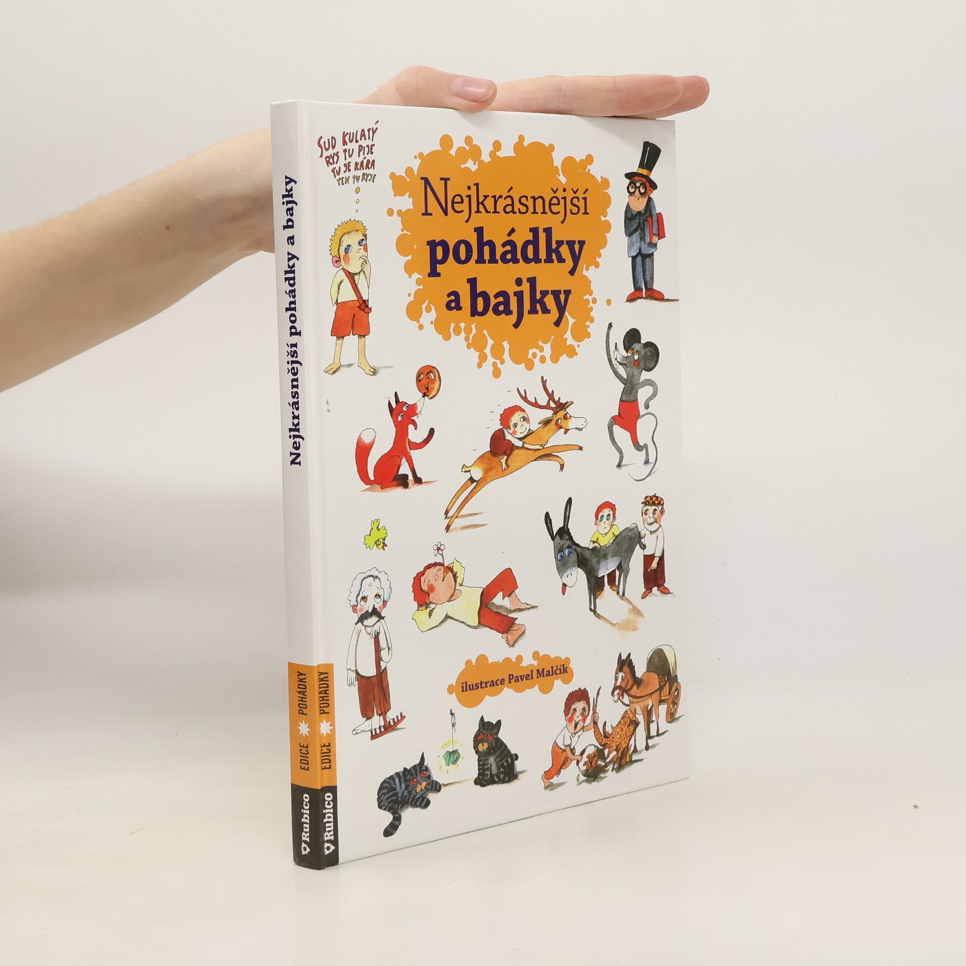 Autorenkollektiv Nejkrásnější pohádky a bajky