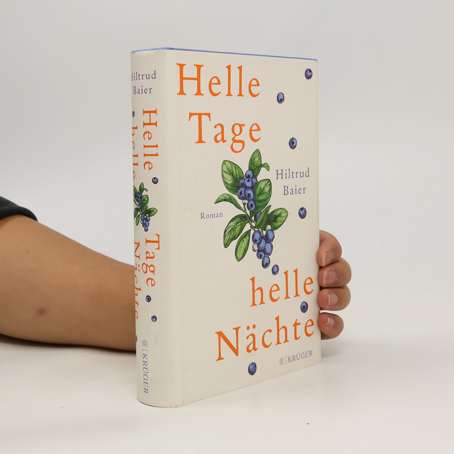 Hiltrud Baier Helle Tage, helle Nächte