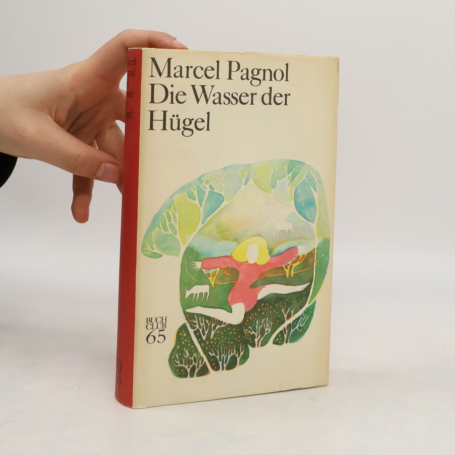 Marcel Pagnol Die Wasser der Hügel